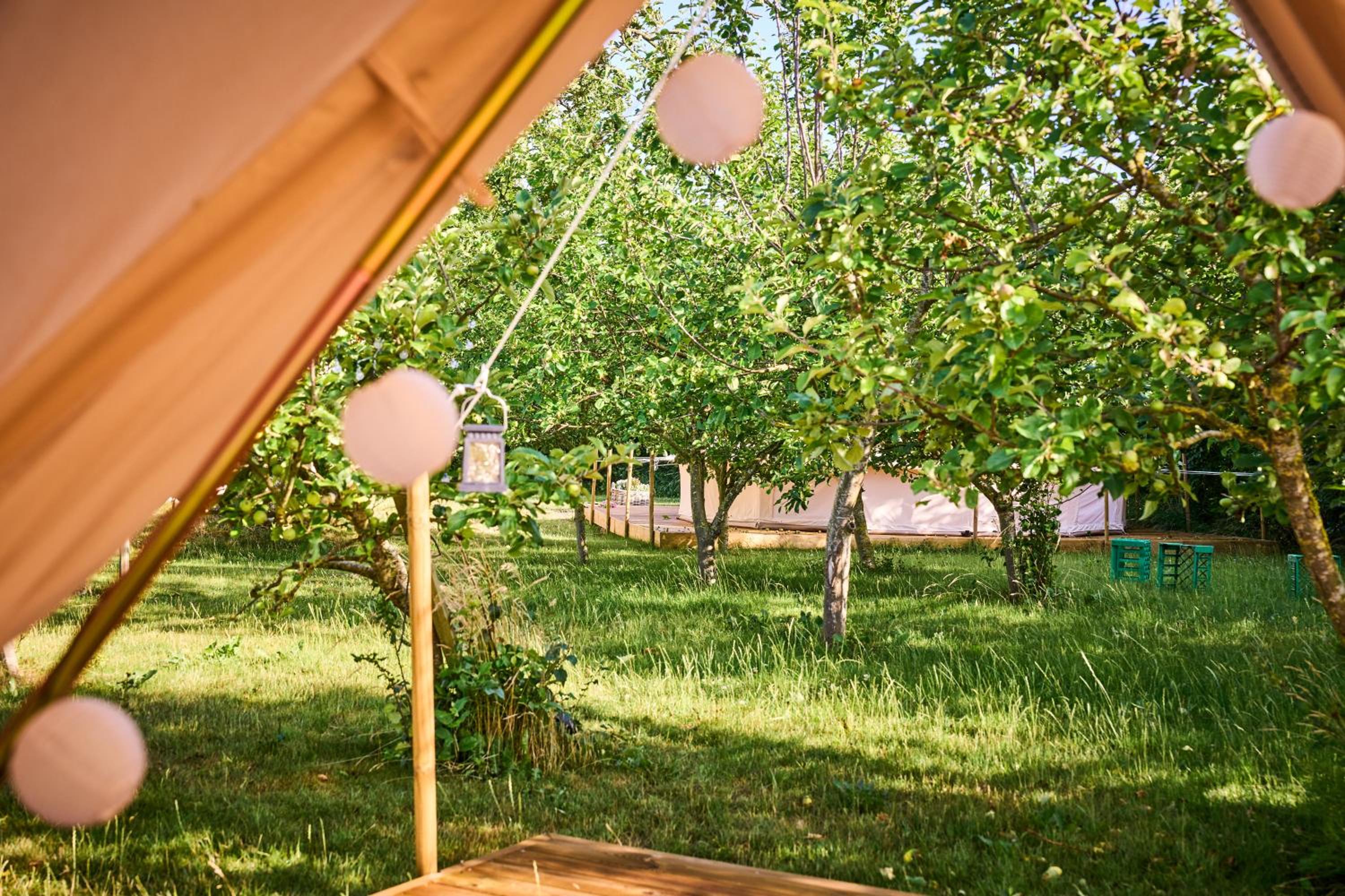 Hesselgaard Glamping