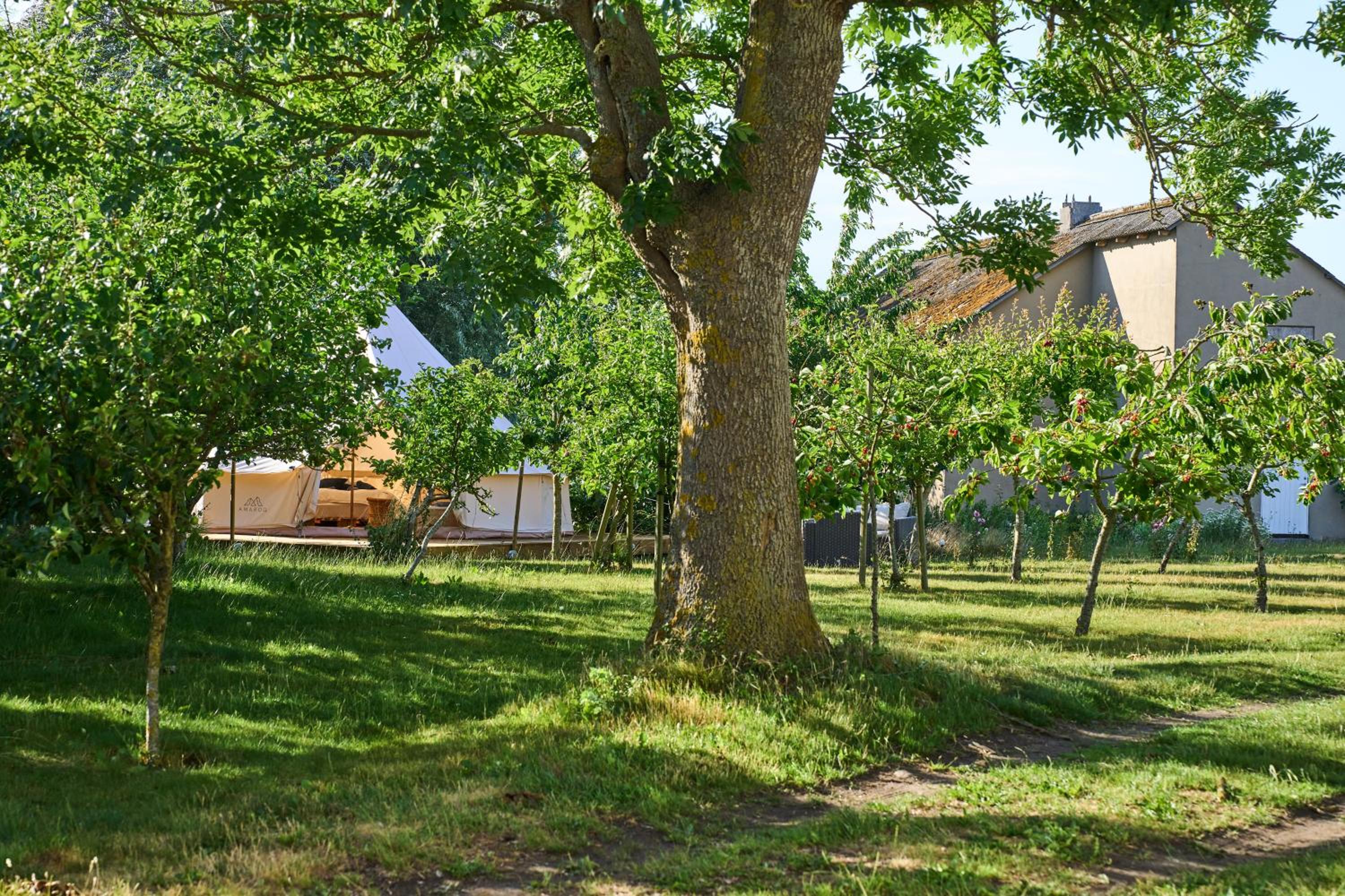 Hesselgaard Glamping