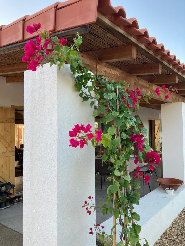 Amélia's House (Casa das Amélias)