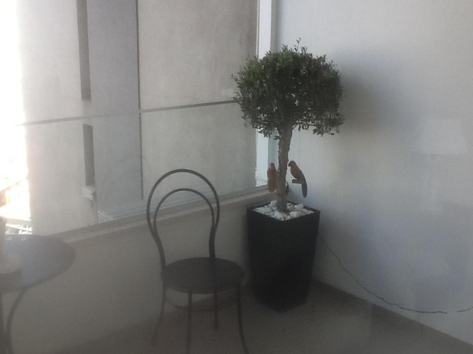 The Central Suites — photo 79