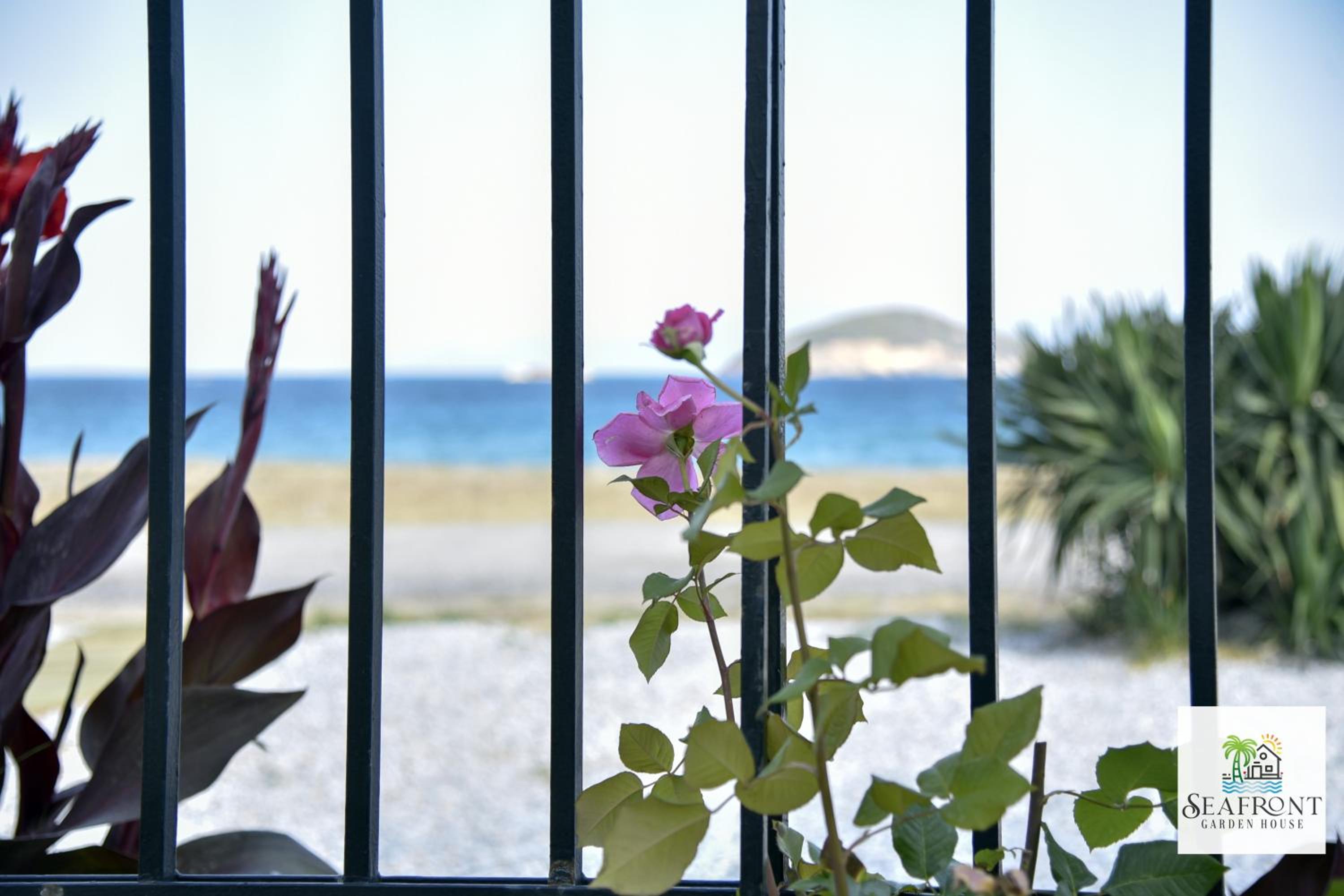 SeafrontGardenHouse