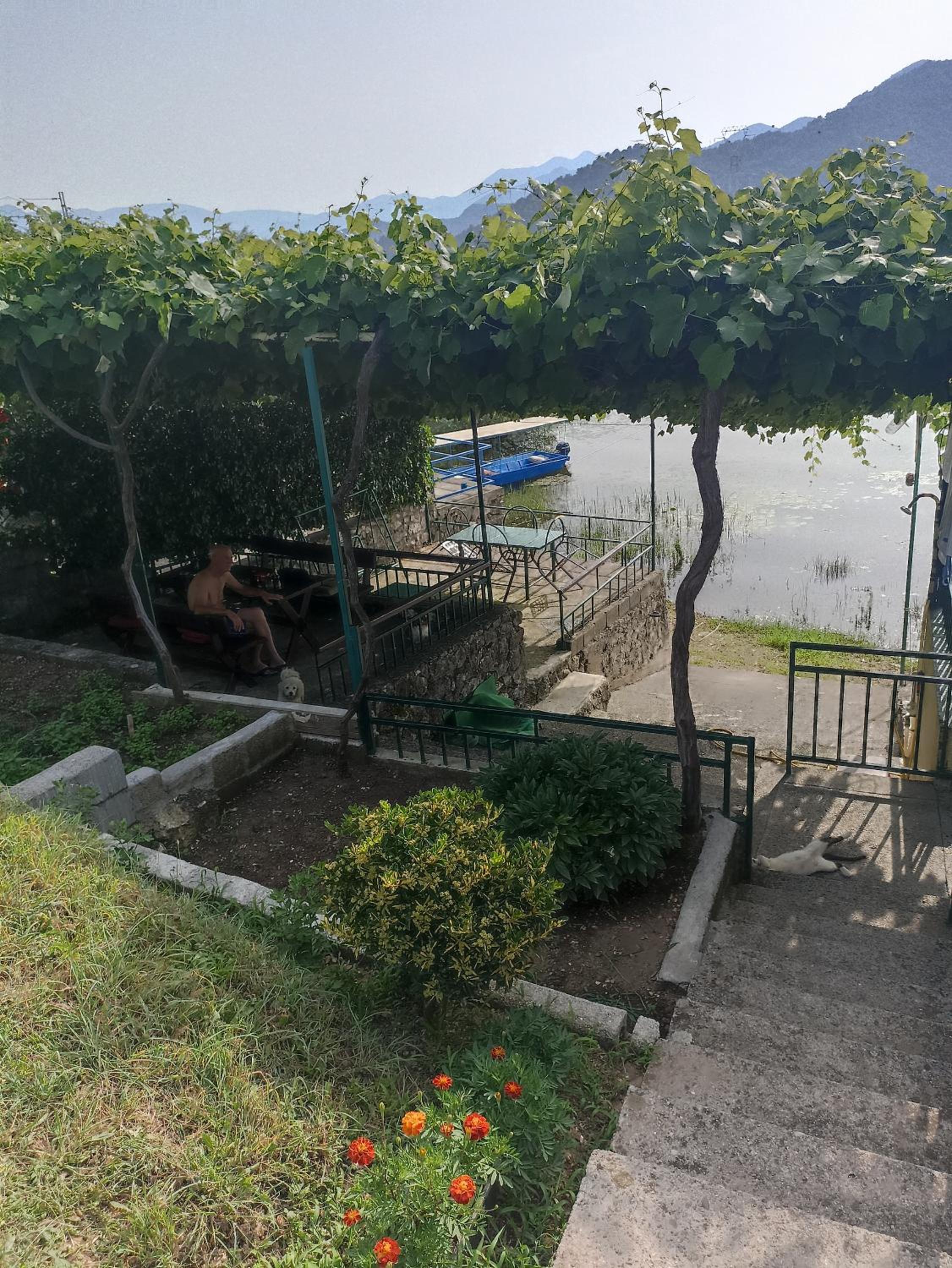 Lake house