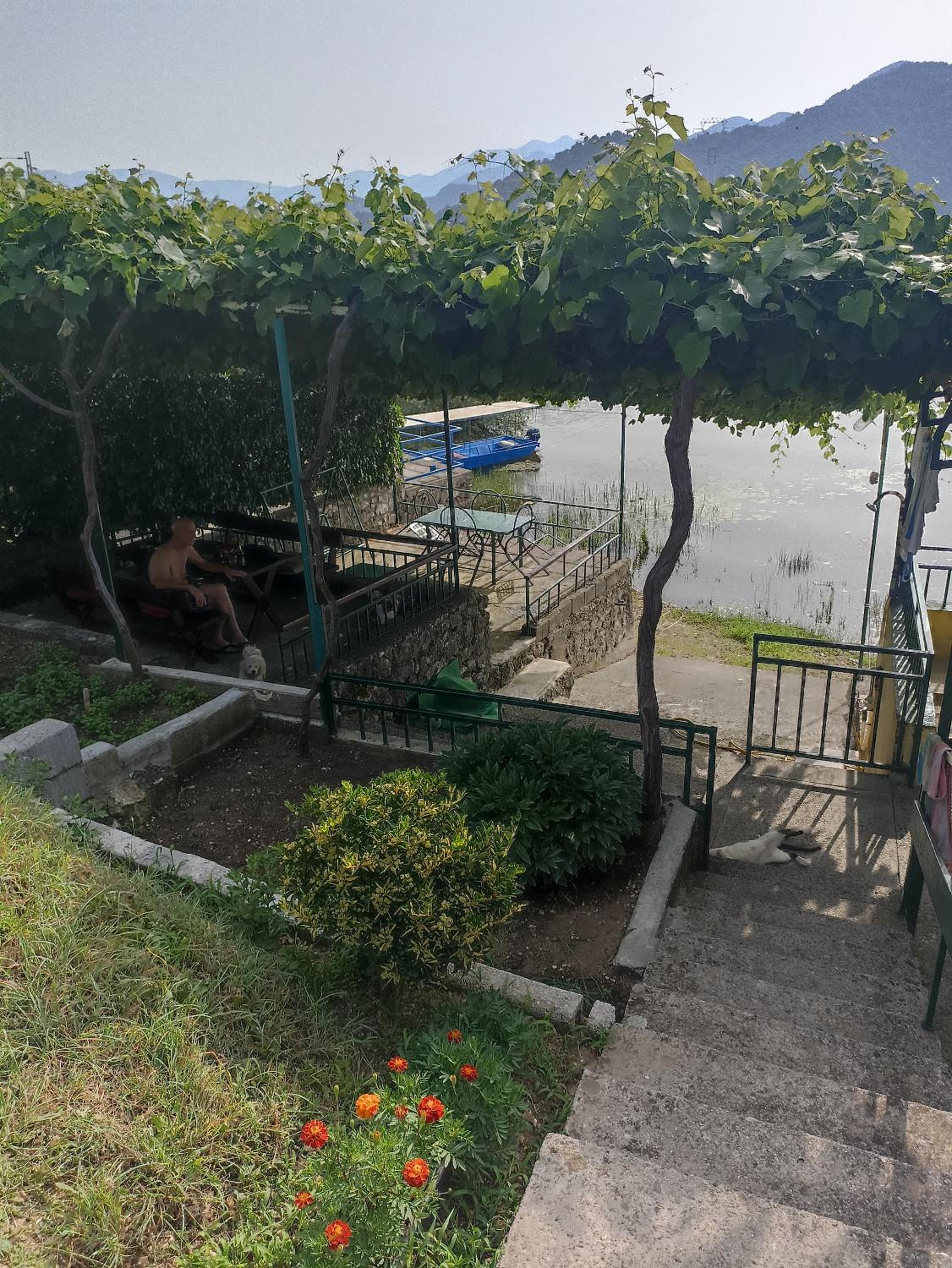 Lake house