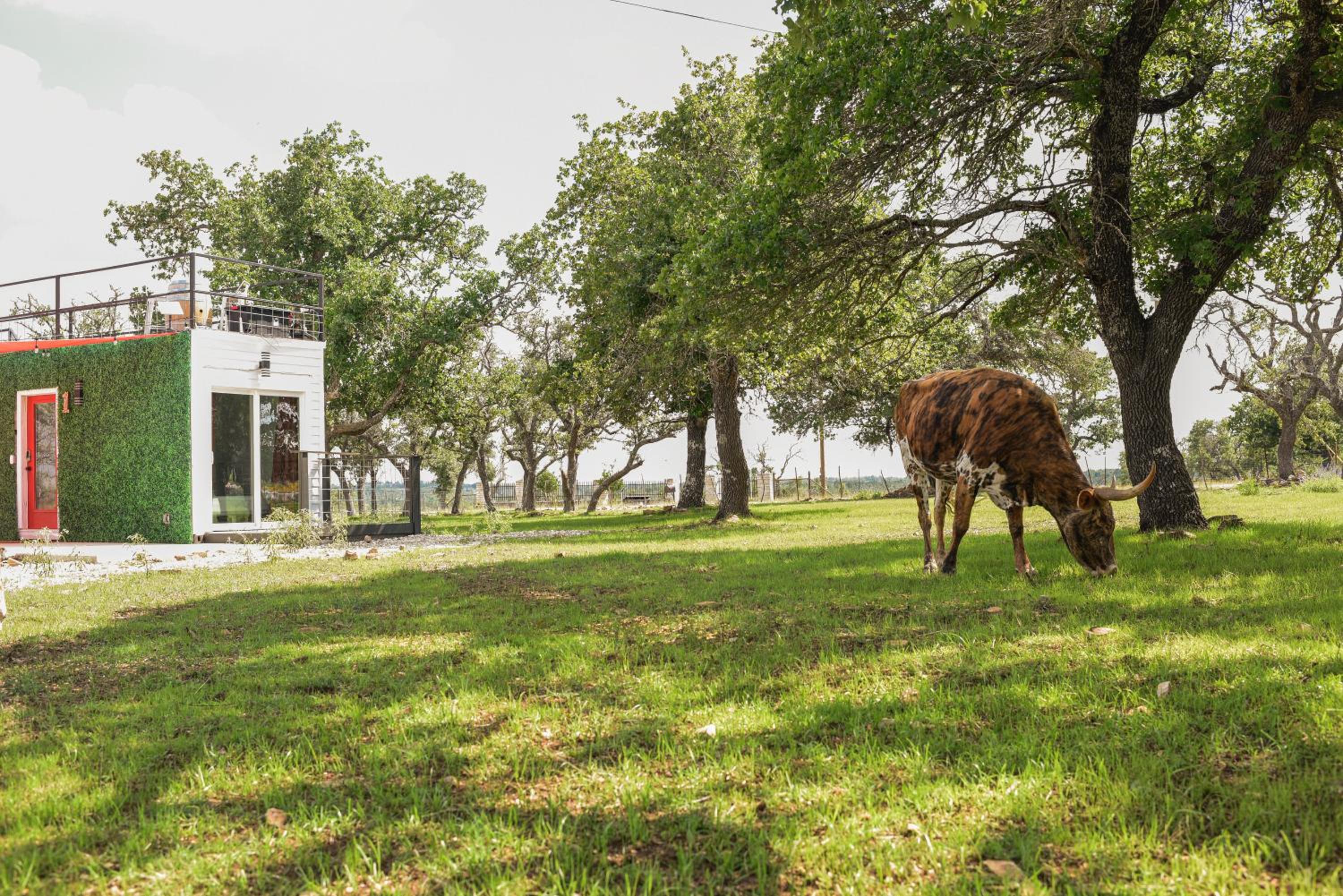 Best Little Fredericksburg Texas Bed And Breakfast view 2