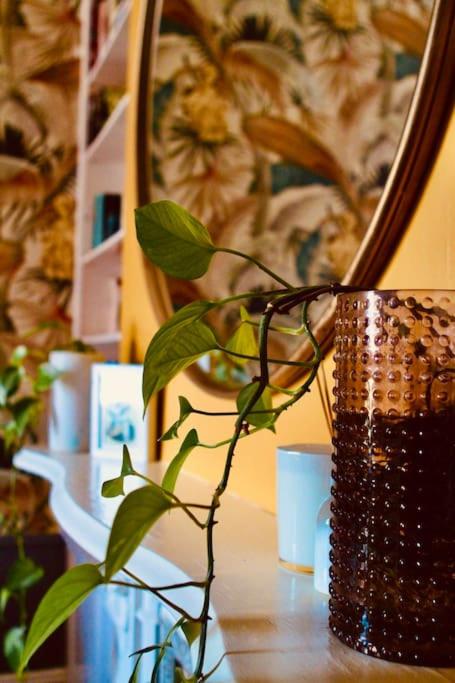 The Eversley - a Stylish Terrace house in Fitzroy