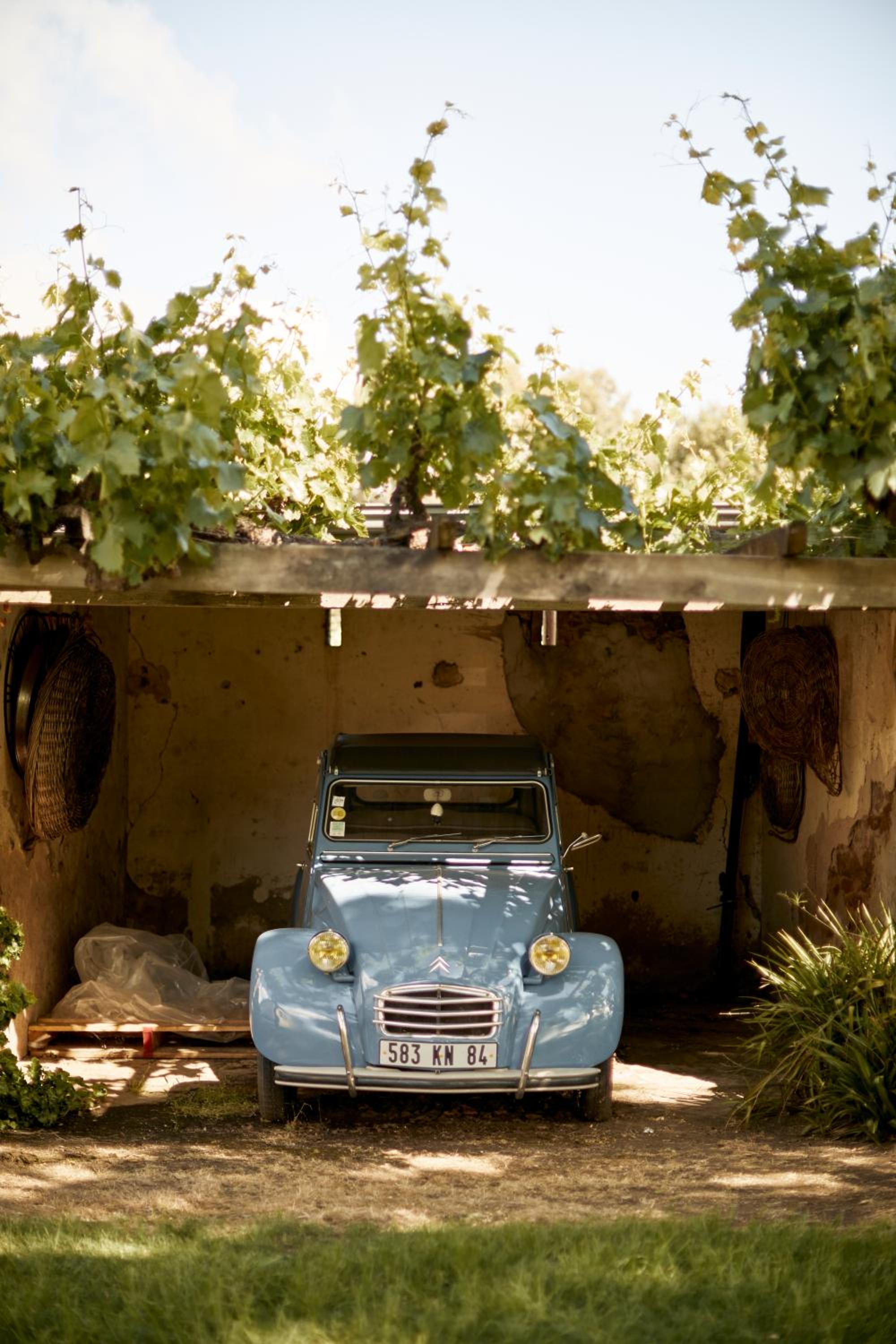 Le Mas Barossa