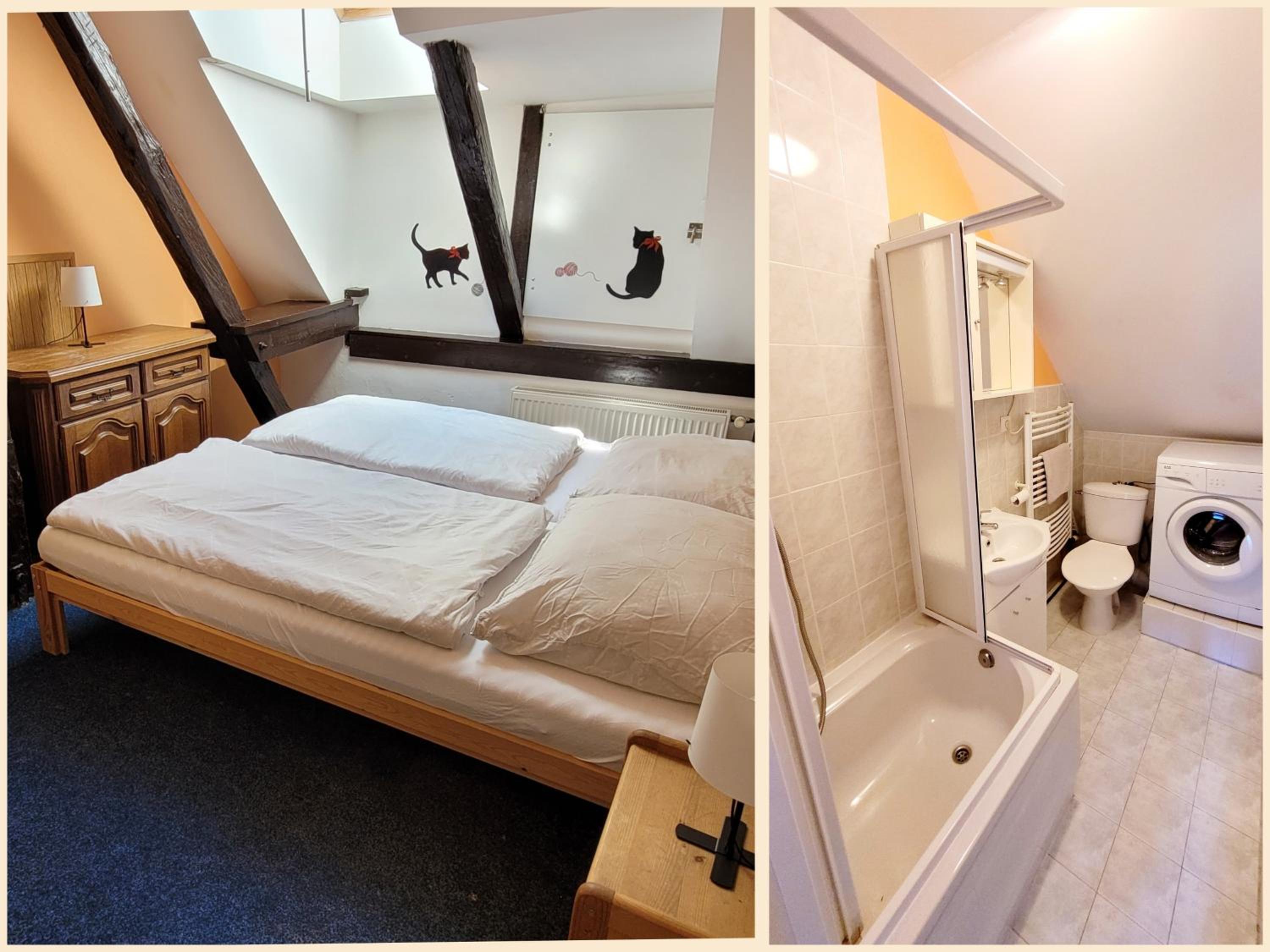 Chata&Apartmán Nová Mýtina
