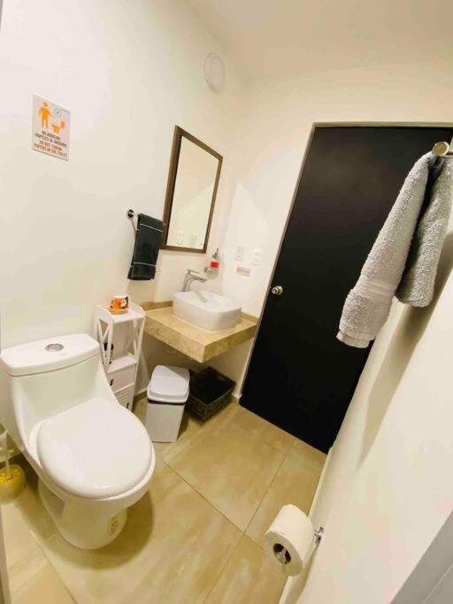 Beautiful Apt Swimming Pool and 5 star amenities