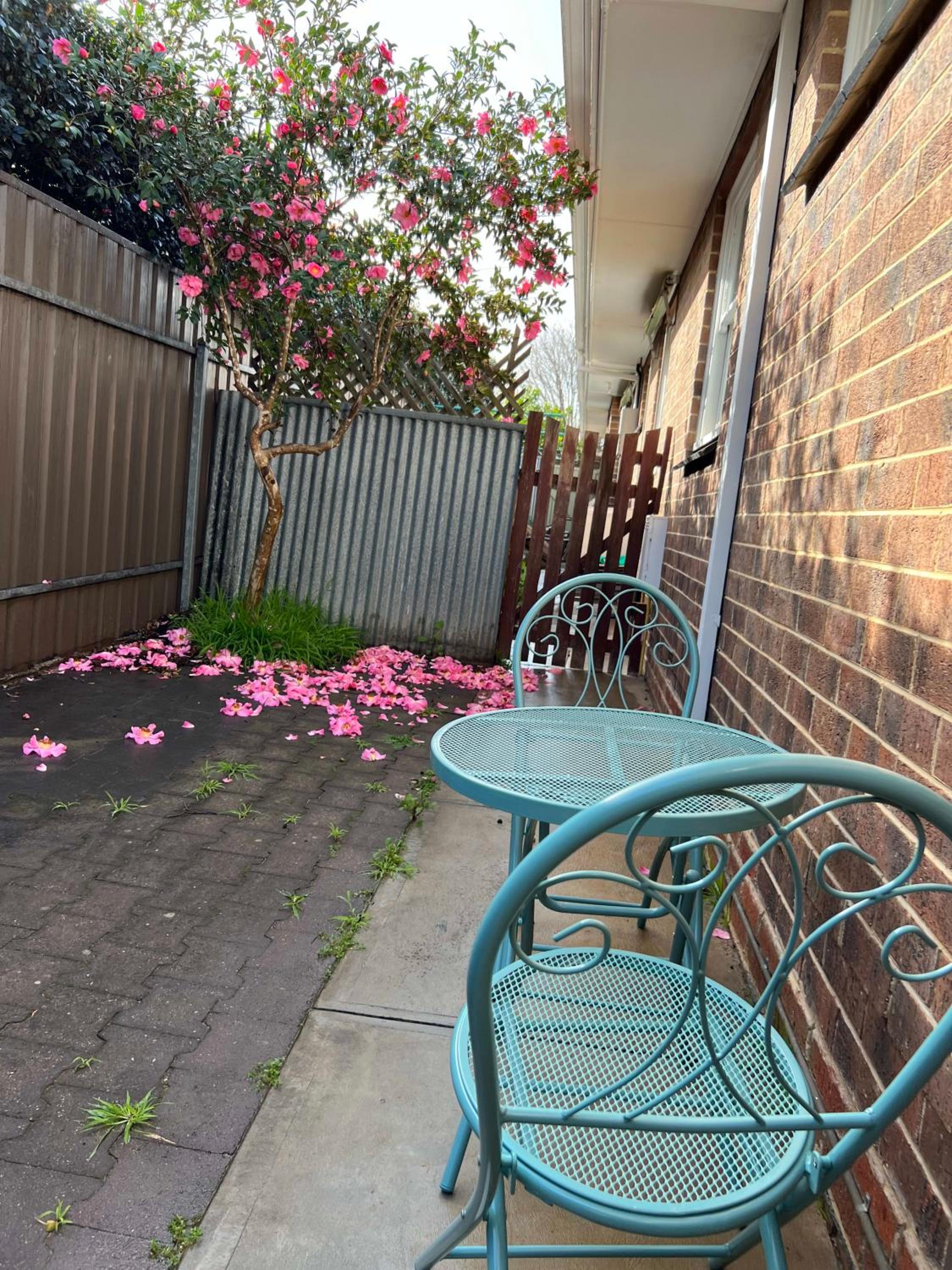 Prime Location 2 Bed Renovated in Royston Park