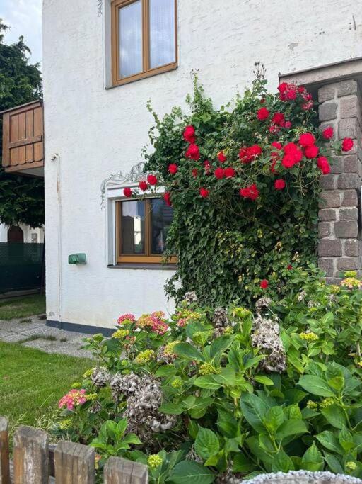Garden View Apartment
