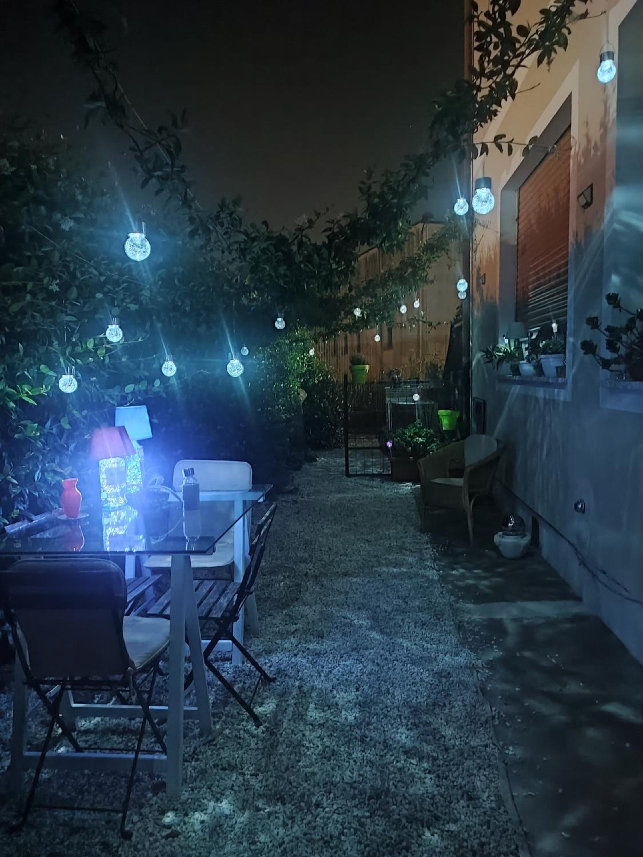 Luce