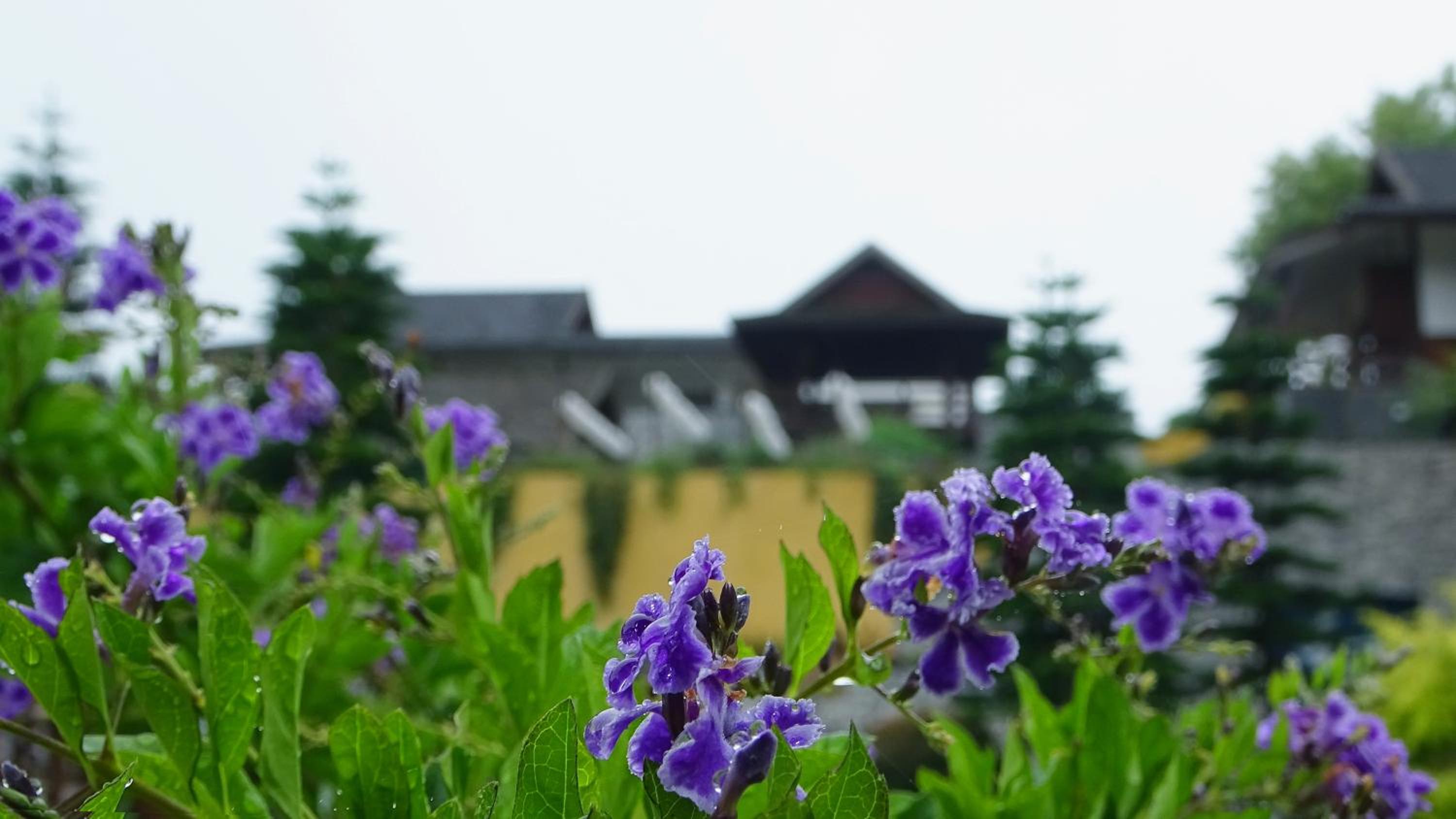 Onsen at Moncham