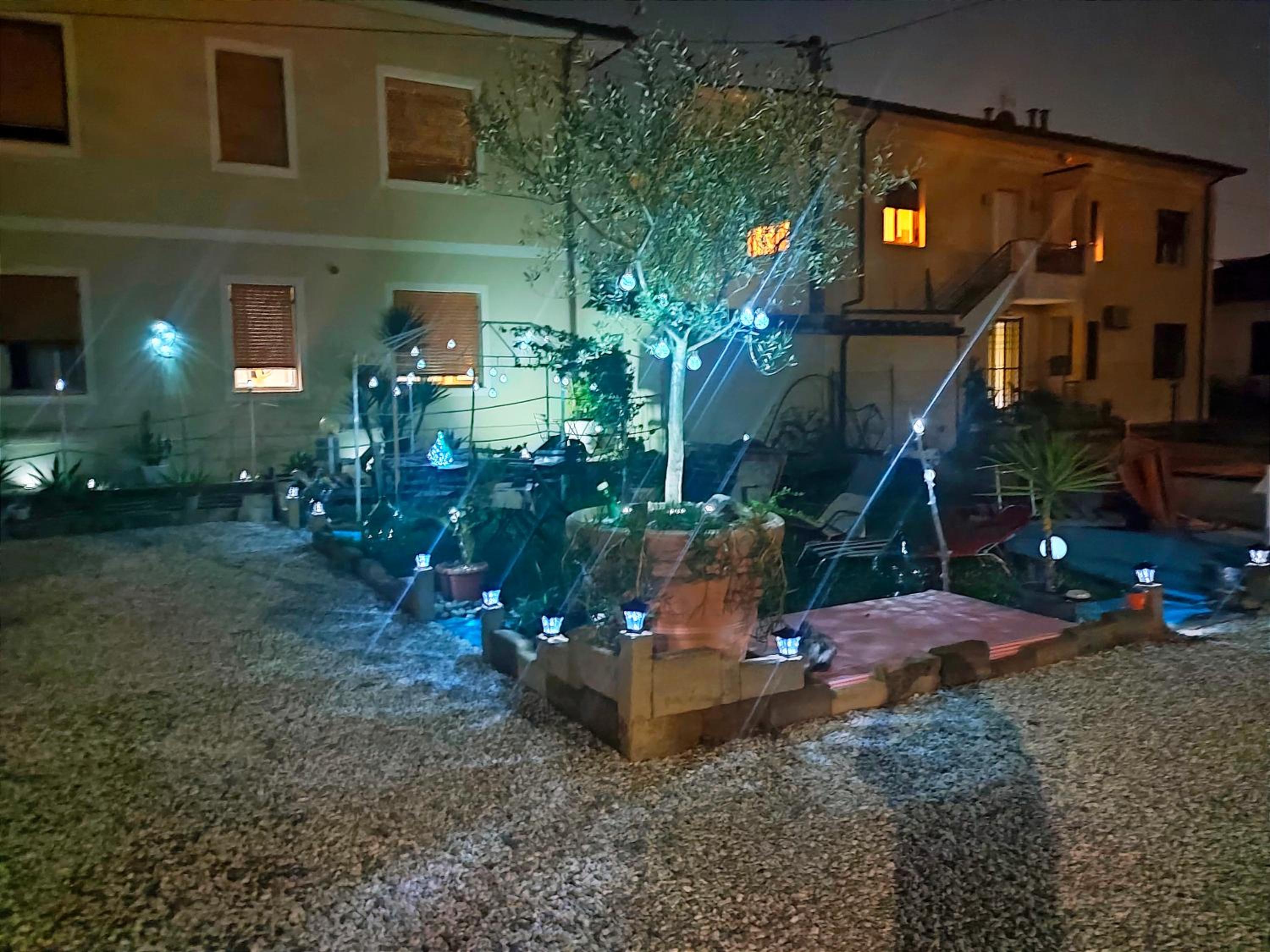 Luce