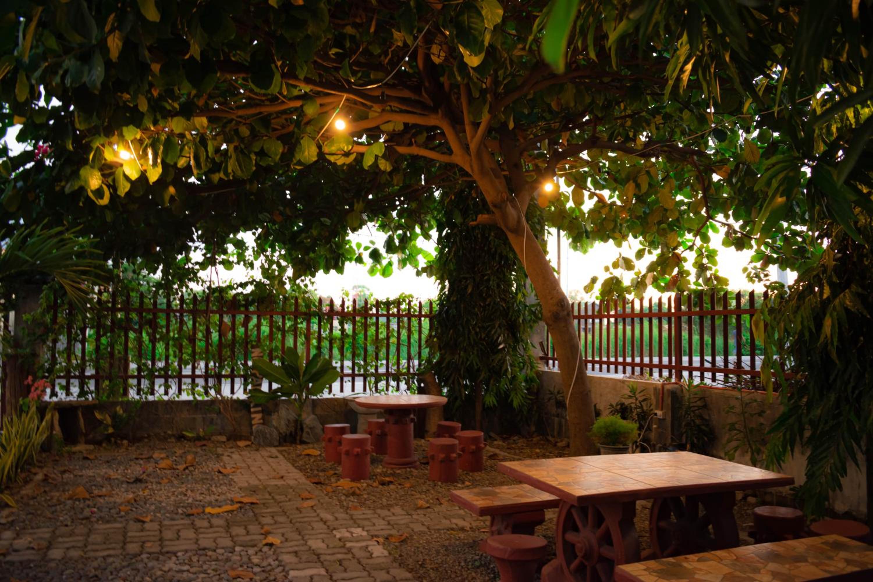D Guest House Ilocos view 2