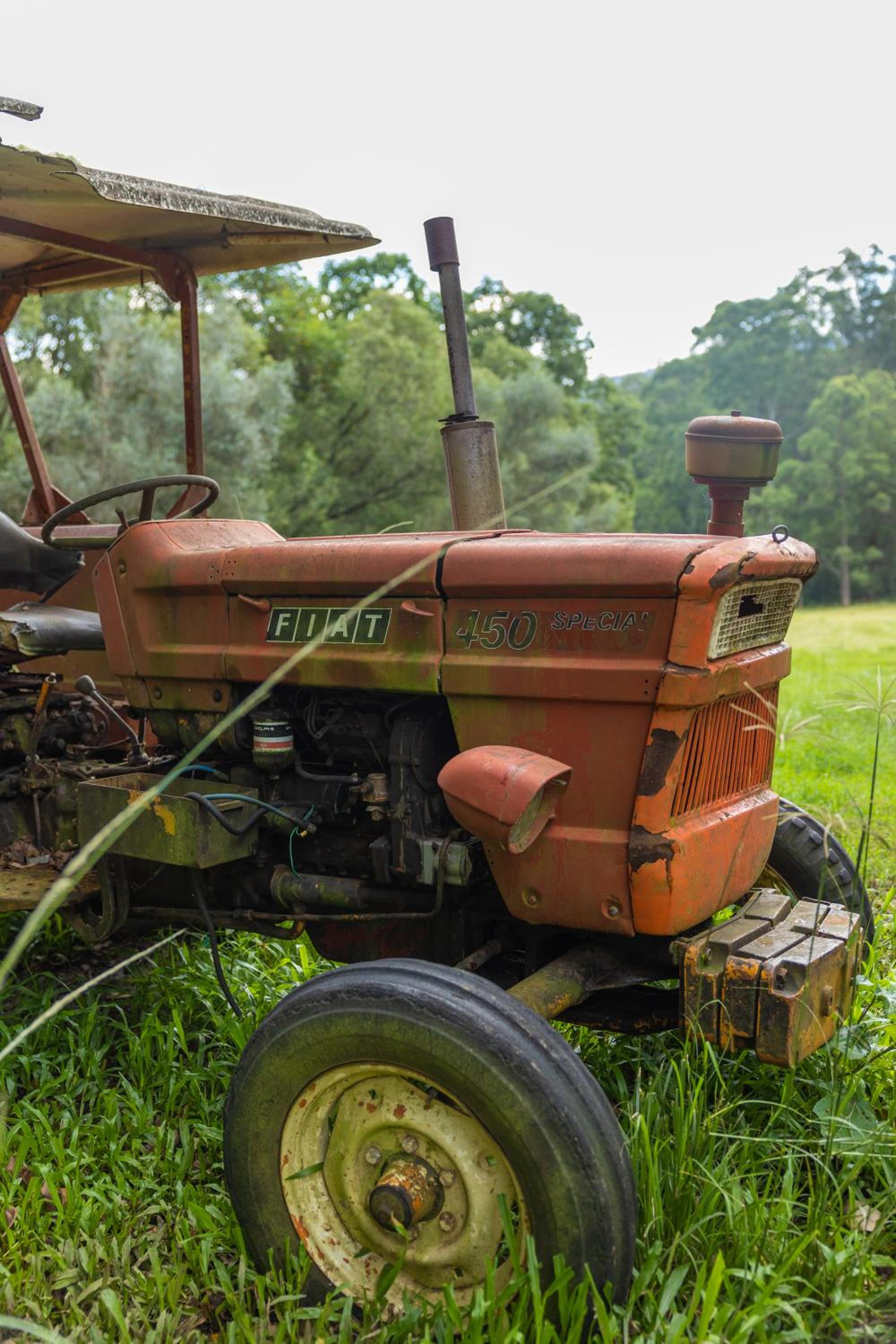 Blackwattle Farm