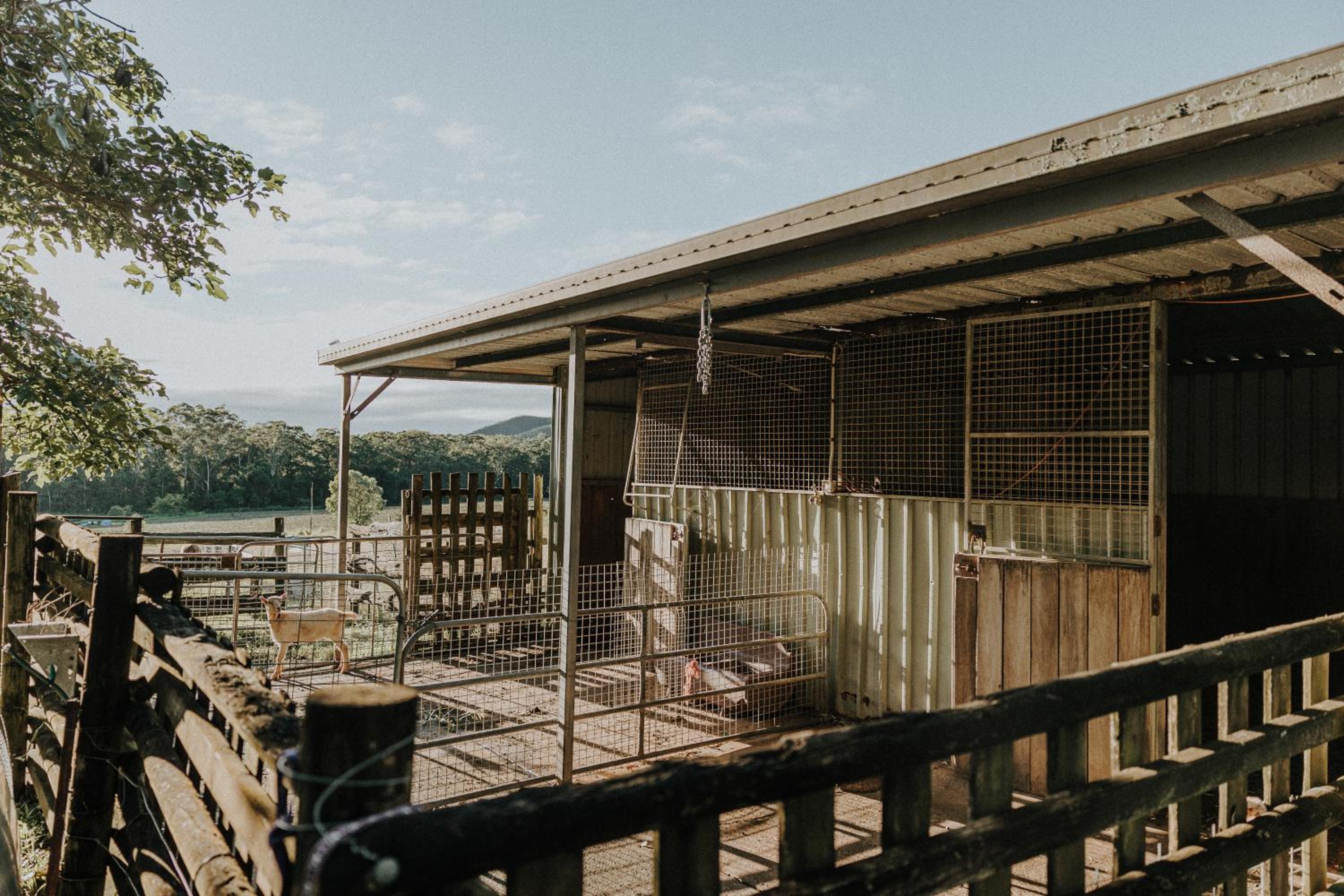Blackwattle Farm