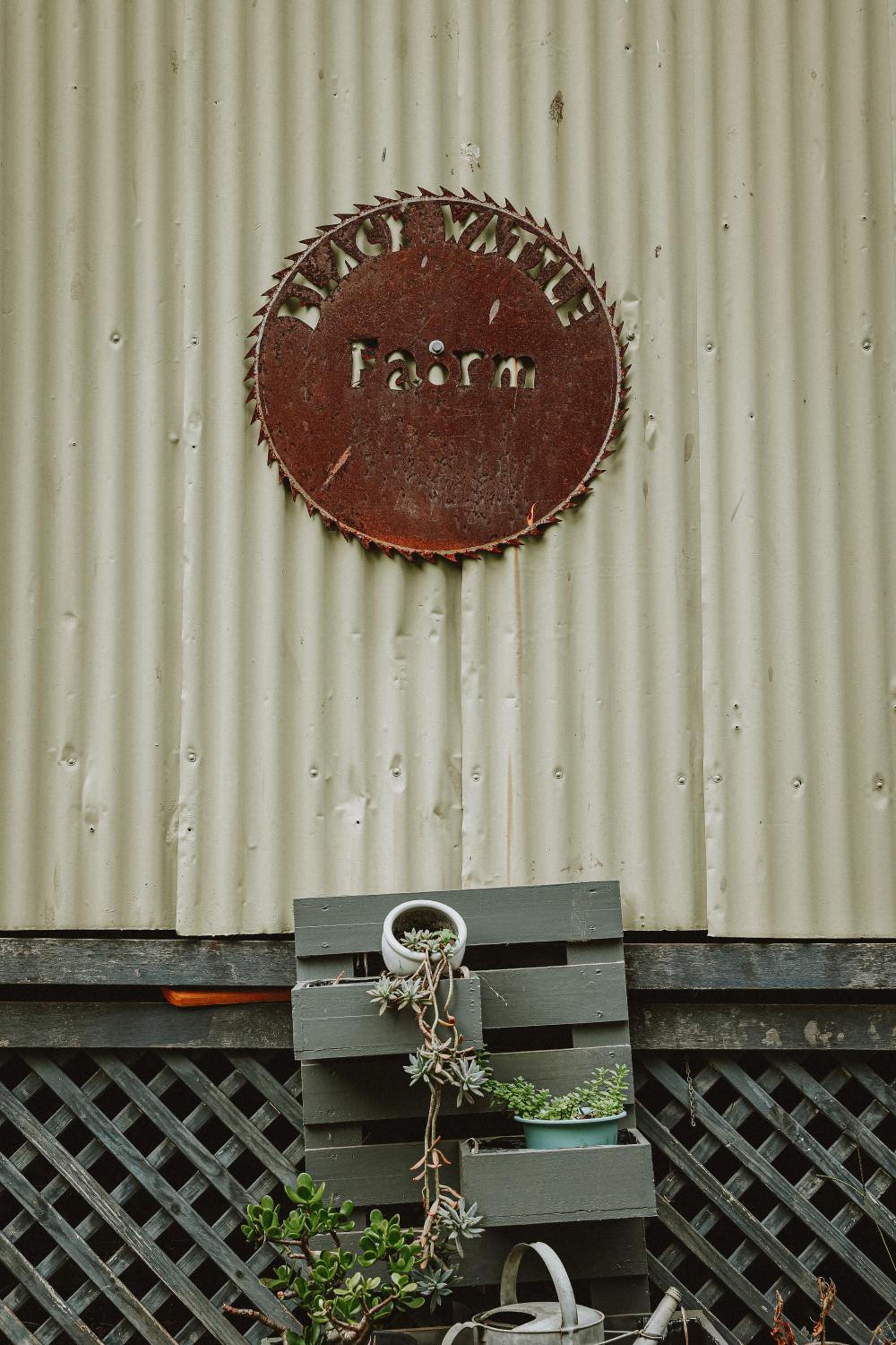 Blackwattle Farm