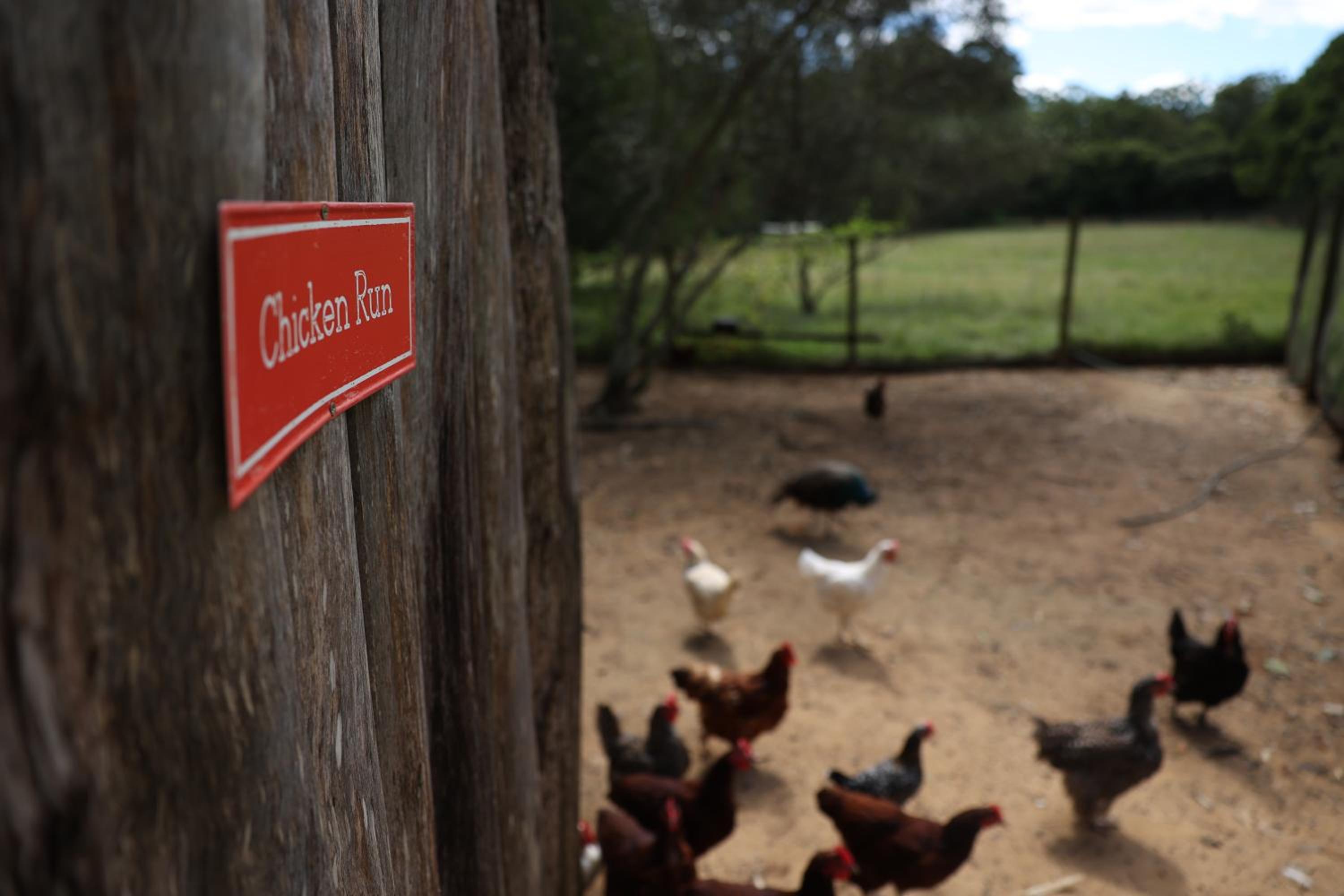 Blackwattle Farm