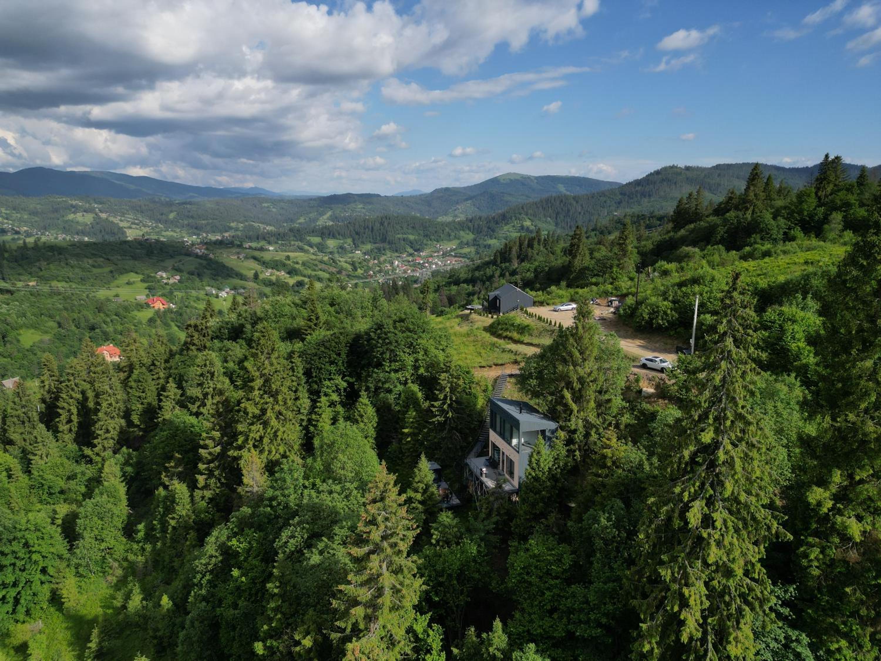 Forest Hub