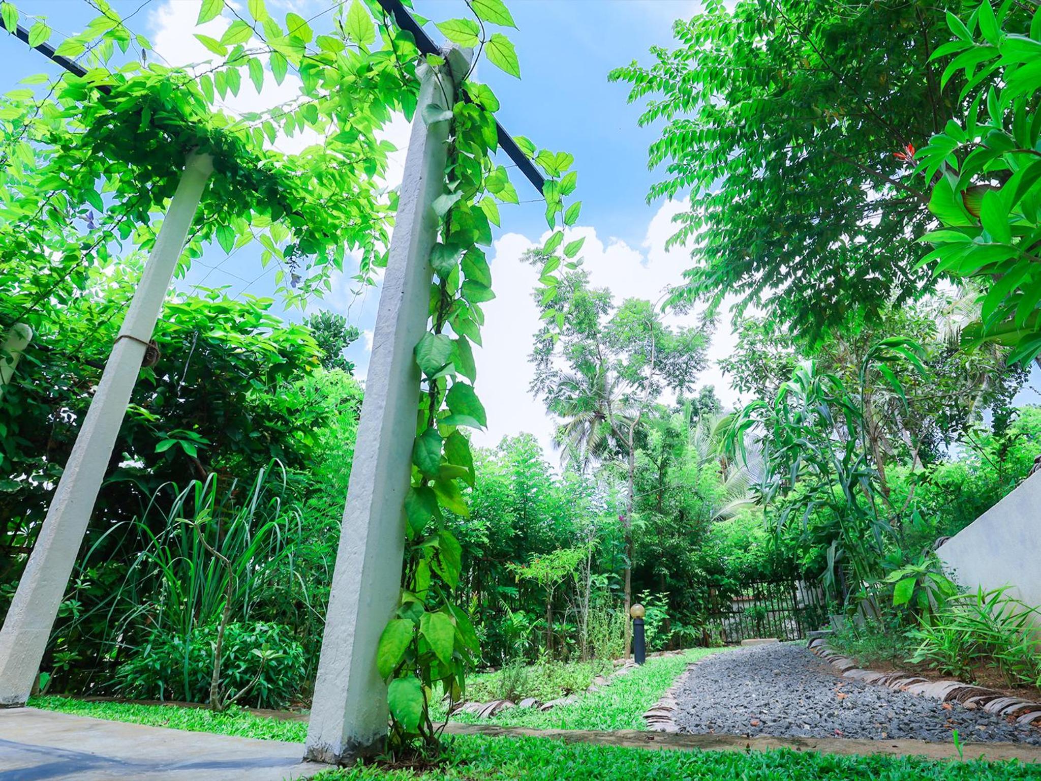 Terrace Garden Ayurveda Resort view 5