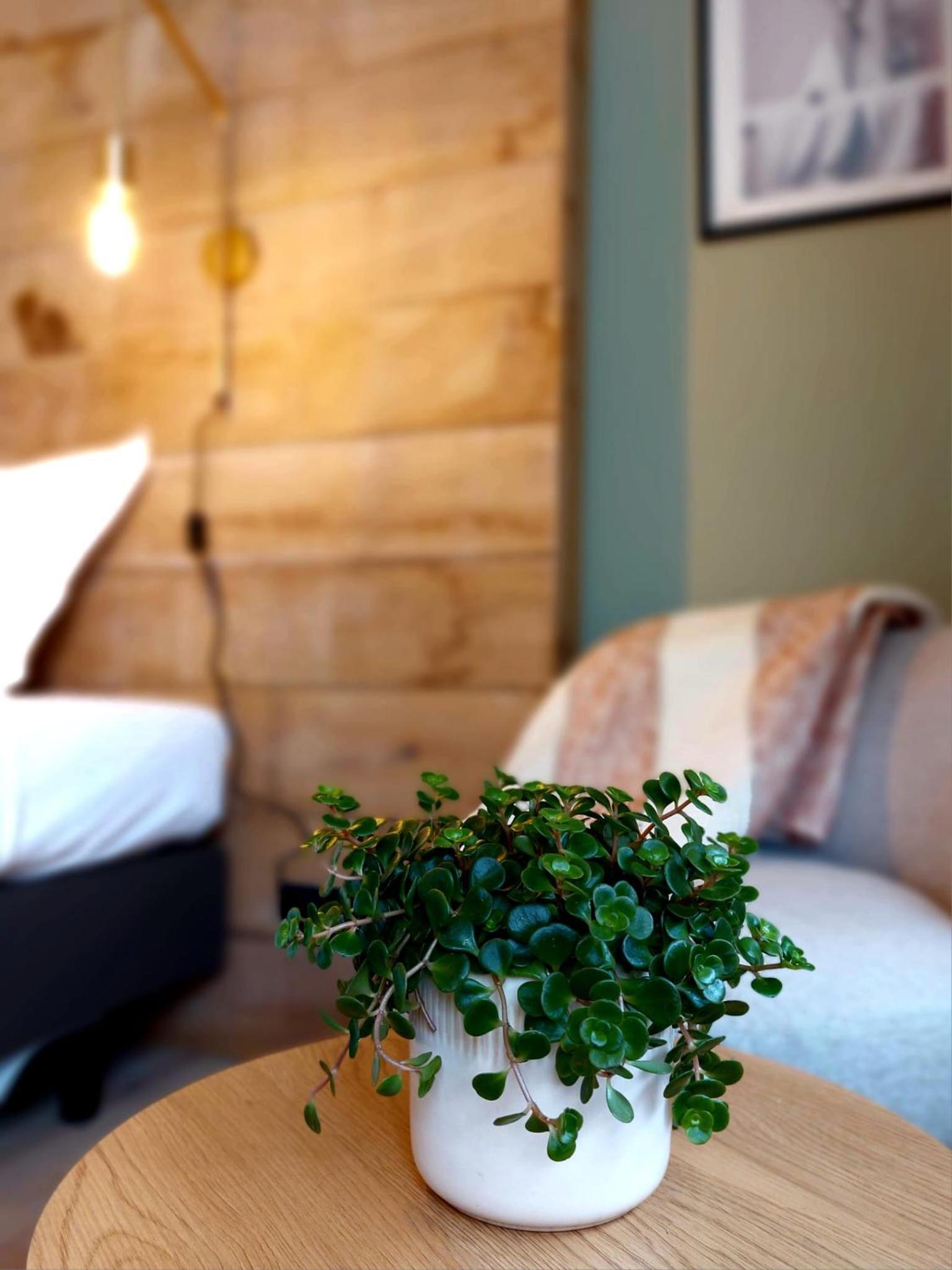 MyDeer - Deluxe rooms & shared kitchen