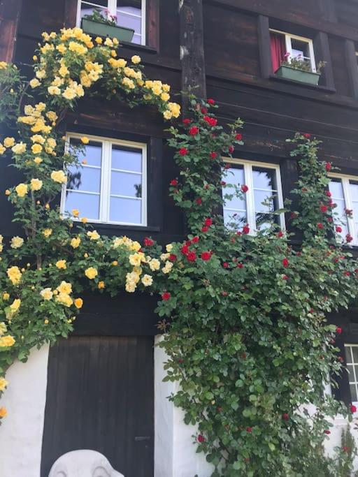 Charming alps apartment perfect for walk/cycle/ski