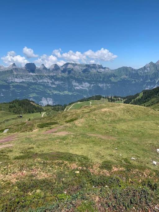 Charming alps apartment perfect for walk/cycle/ski