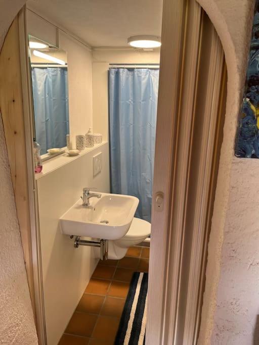 Charming alps apartment perfect for walk/cycle/ski