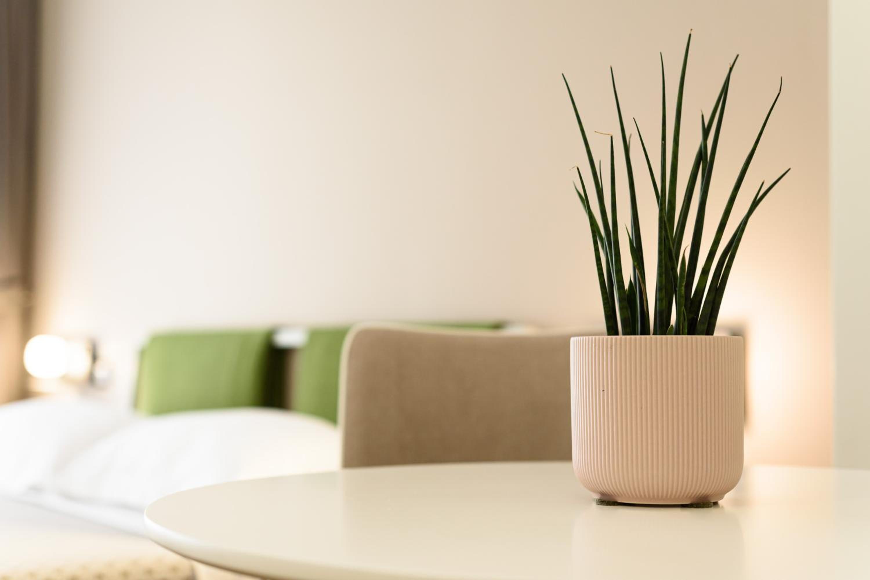 Alma Suites