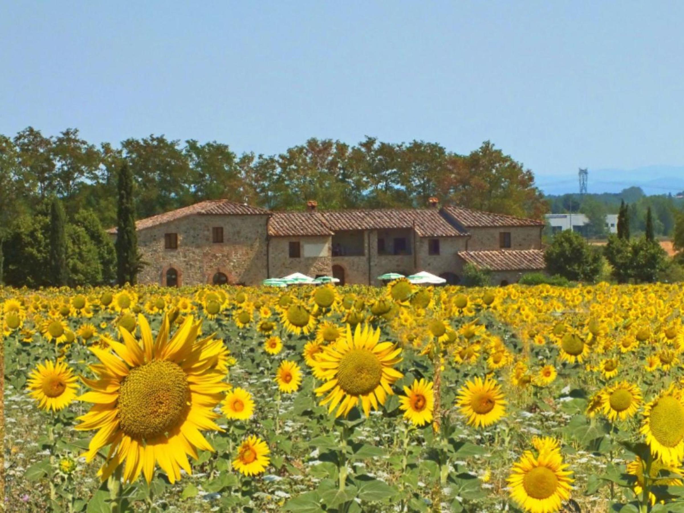 Agriturismo il Canneto view 3