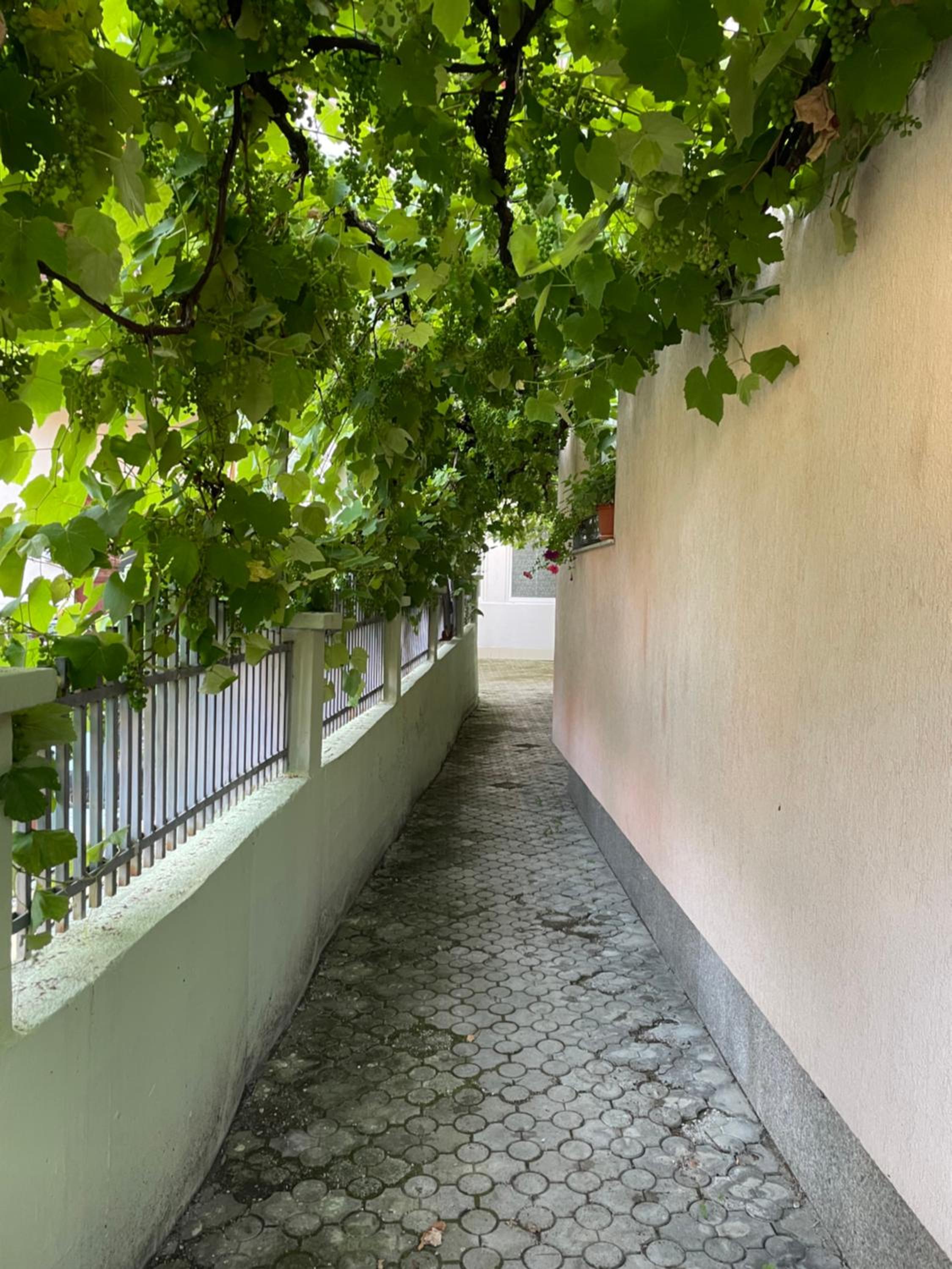 Apartment Grape Sarajevo