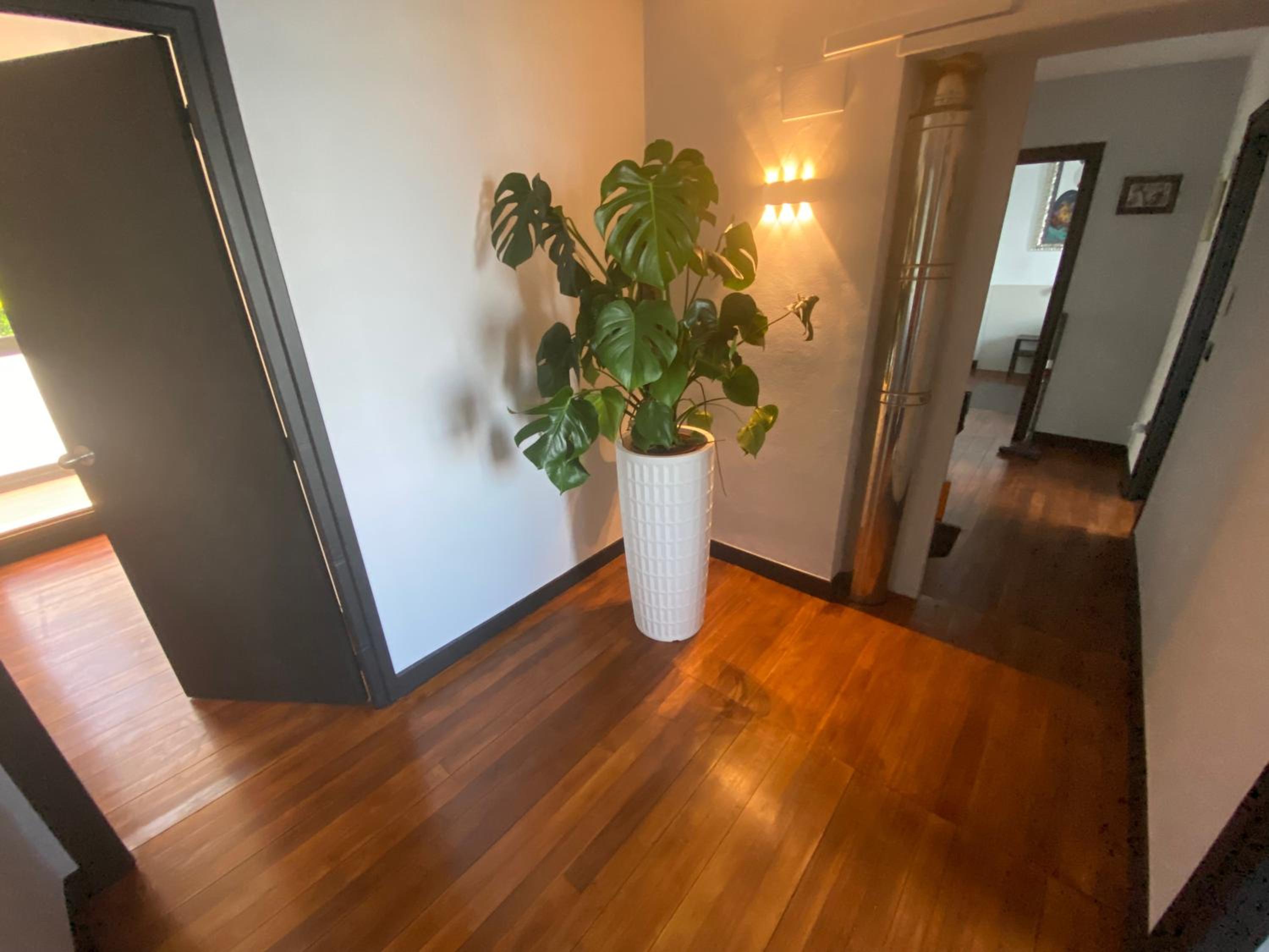 Mundaka Beachfront House