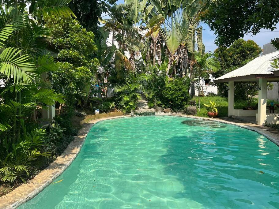 Elegantly Presented Spacious 3 Bedroom House view 3