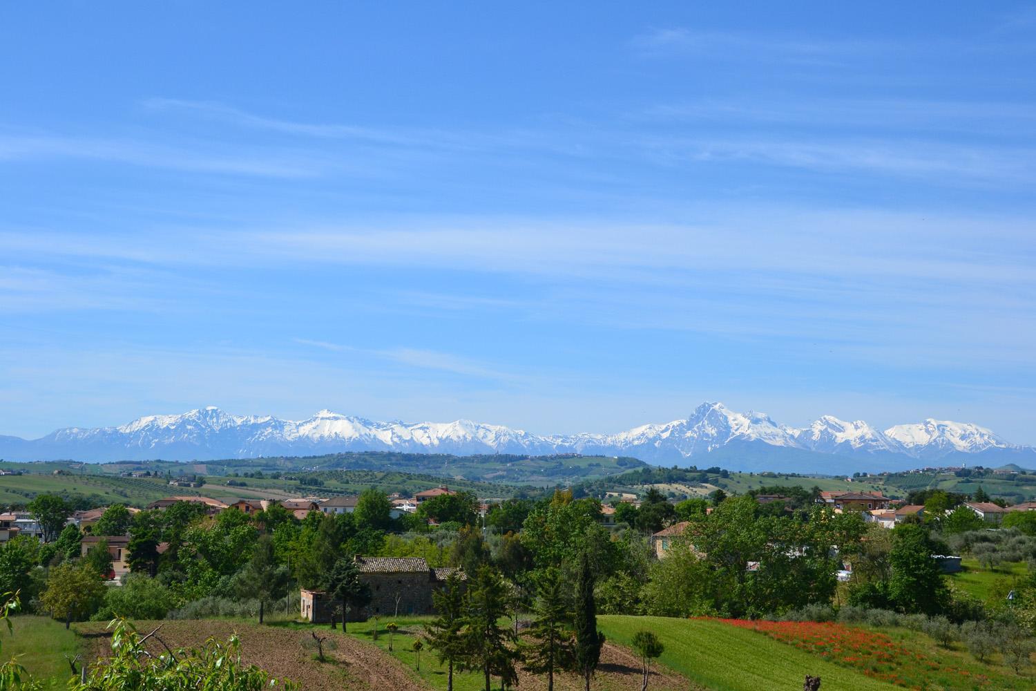 Agriturismo "Gli Olmi" view 4