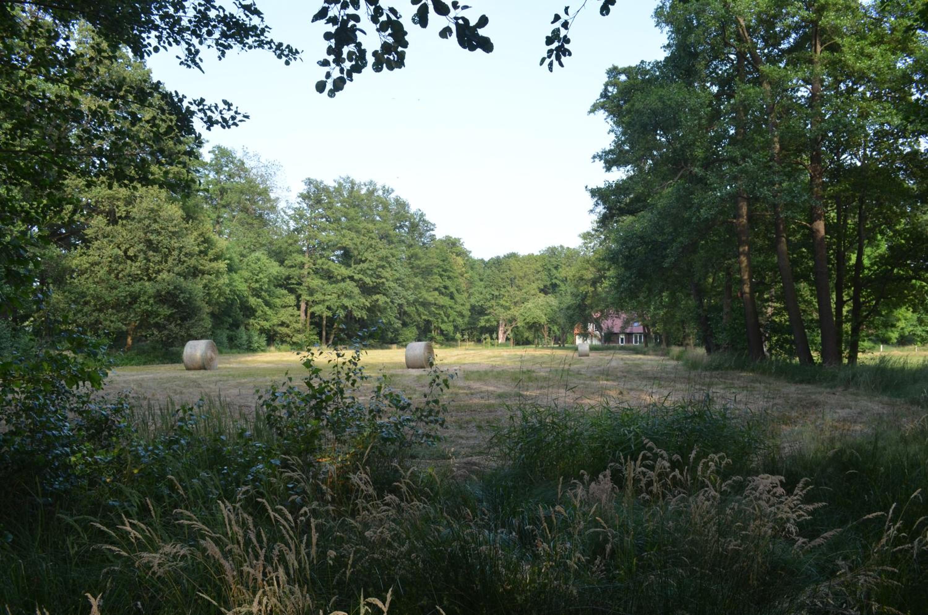Vierseitenhof Appartements