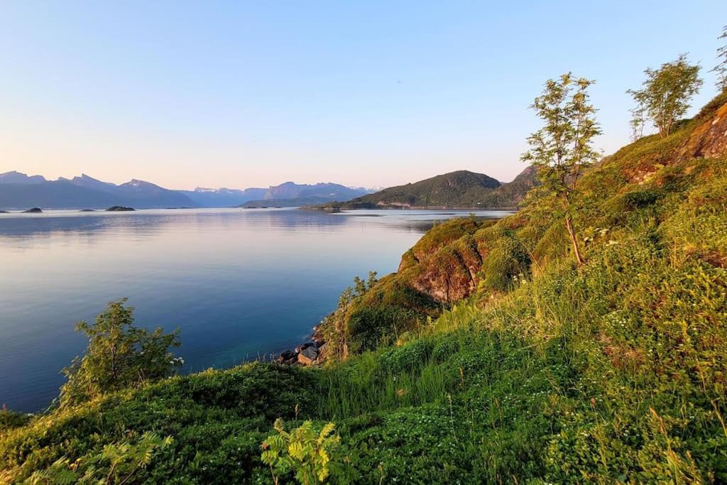 Exclusive Camp Senja