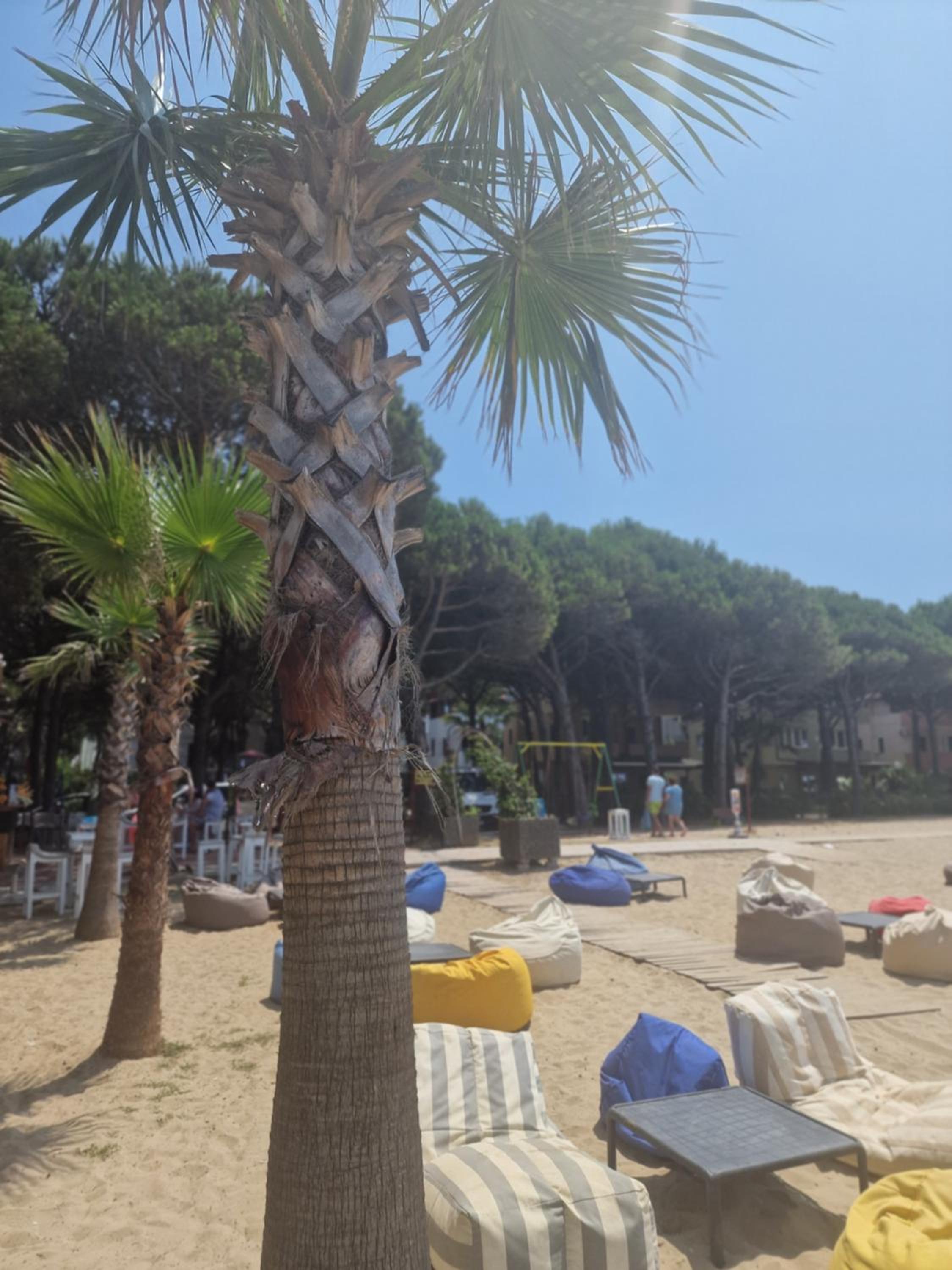 Villa Pearl Adriatic Coast 2