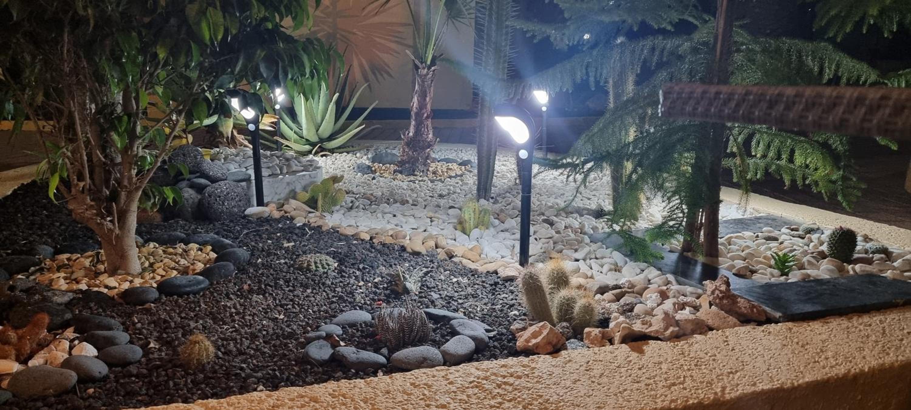 HATO Holiday Home Fuerteventura view 4