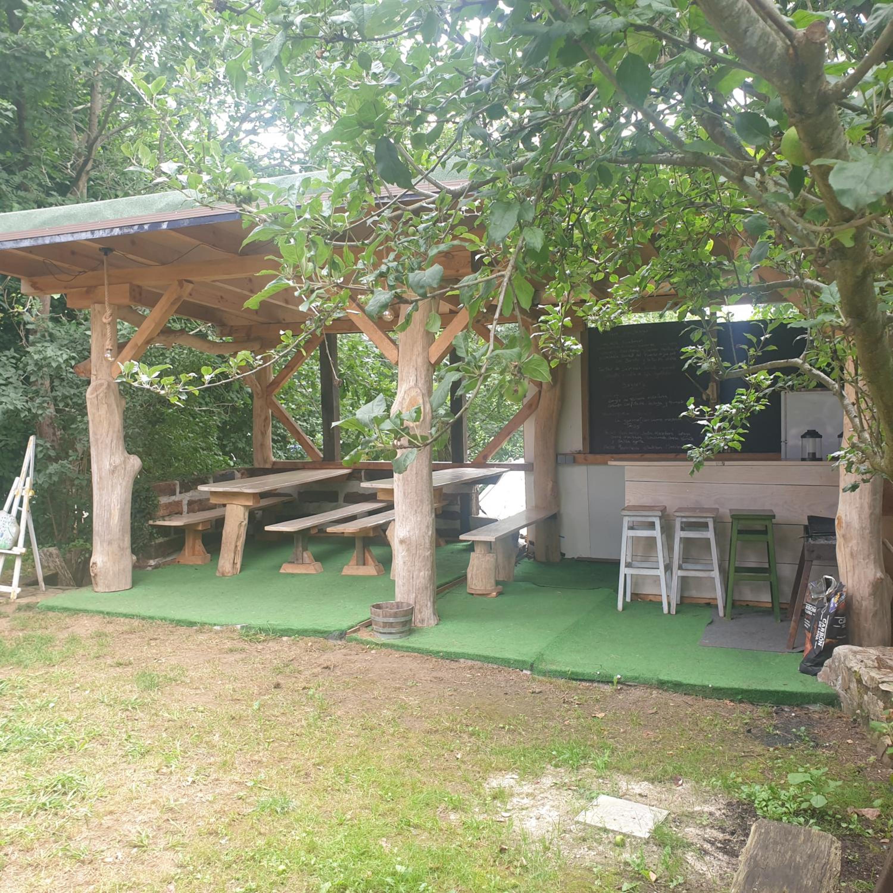 El Búho de la Remolina