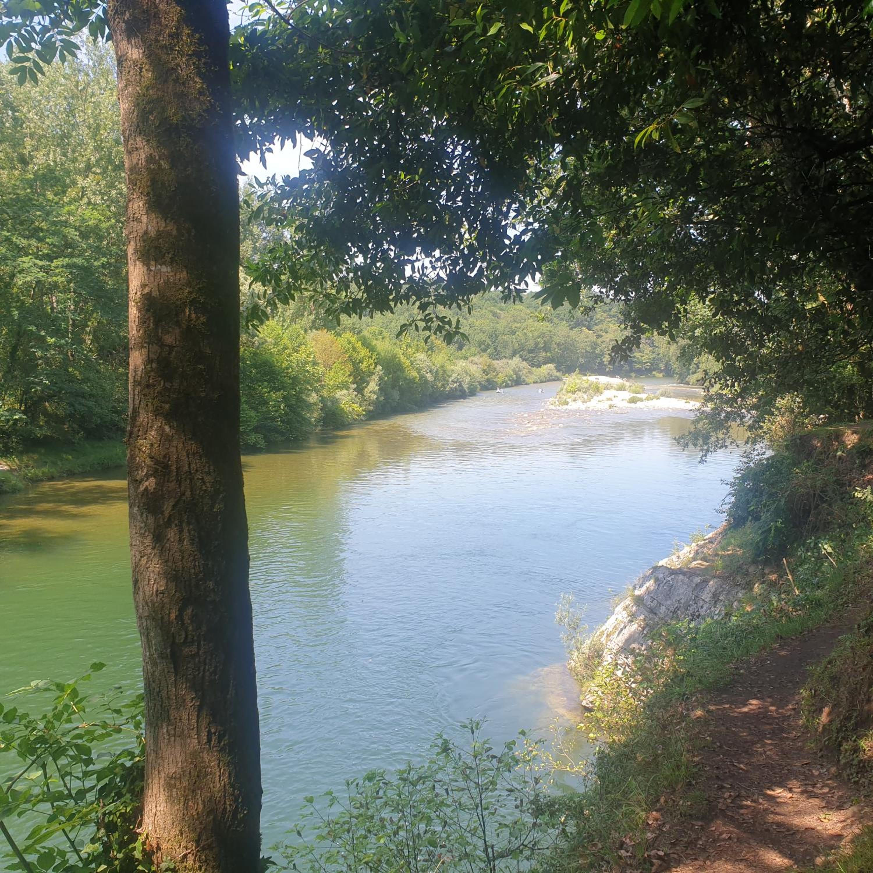 El Búho de la Remolina