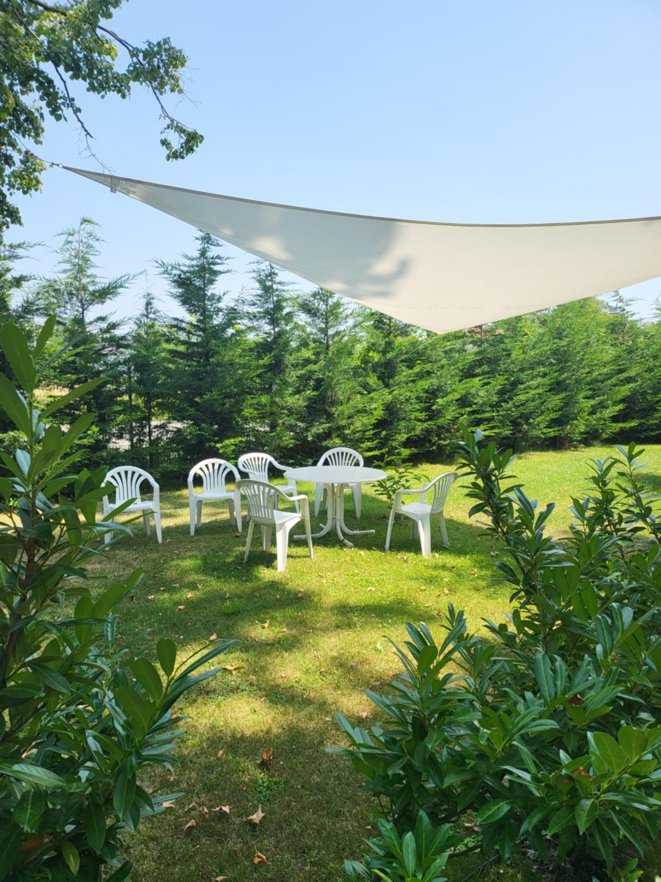 Villa Musik - apartments in historical Villa , Baden