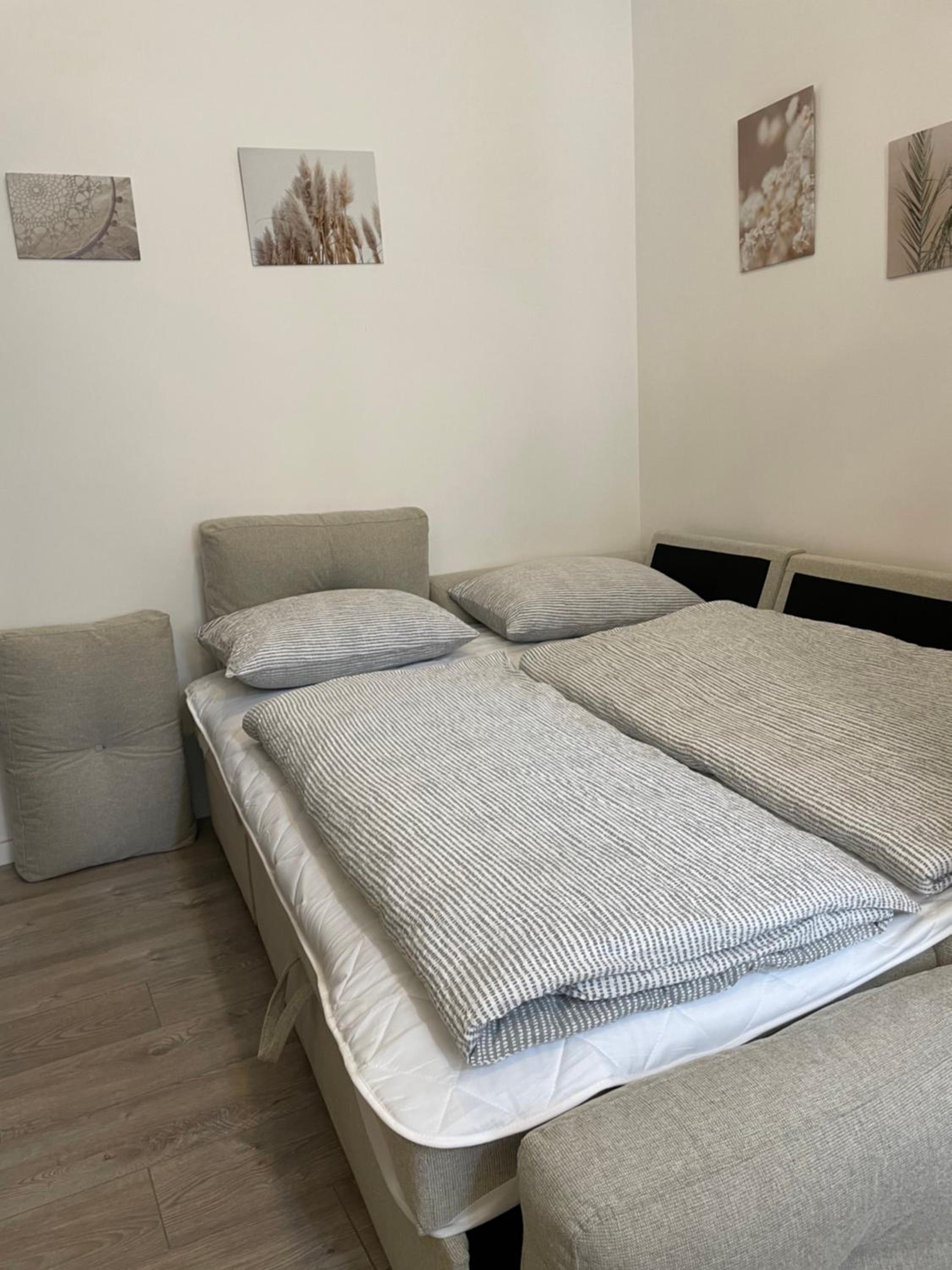 Apartments Studio Center