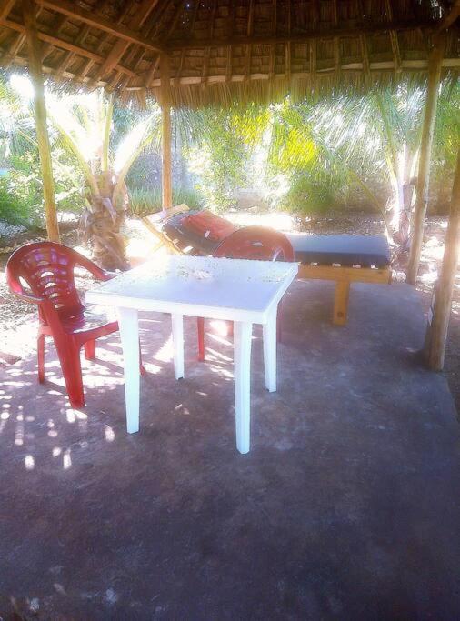 Moringa Garden Cottage, mombasa, north coast, kikambala view 4