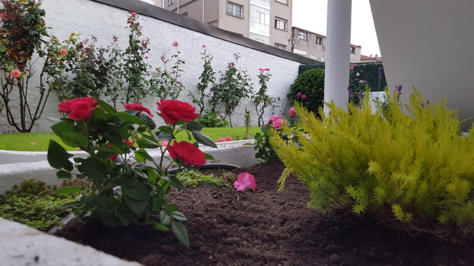 Apartamentos Turisticos Arosa Ogrove