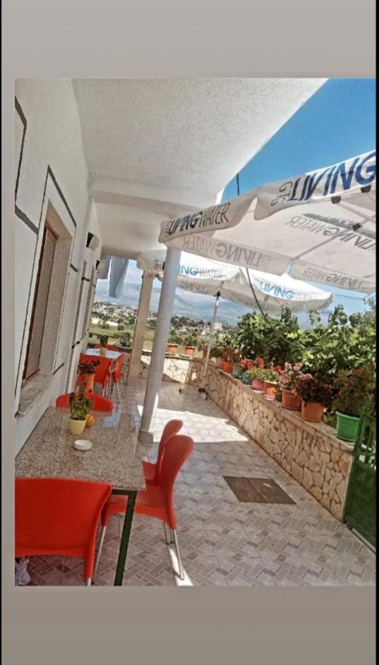 Koci Apartments