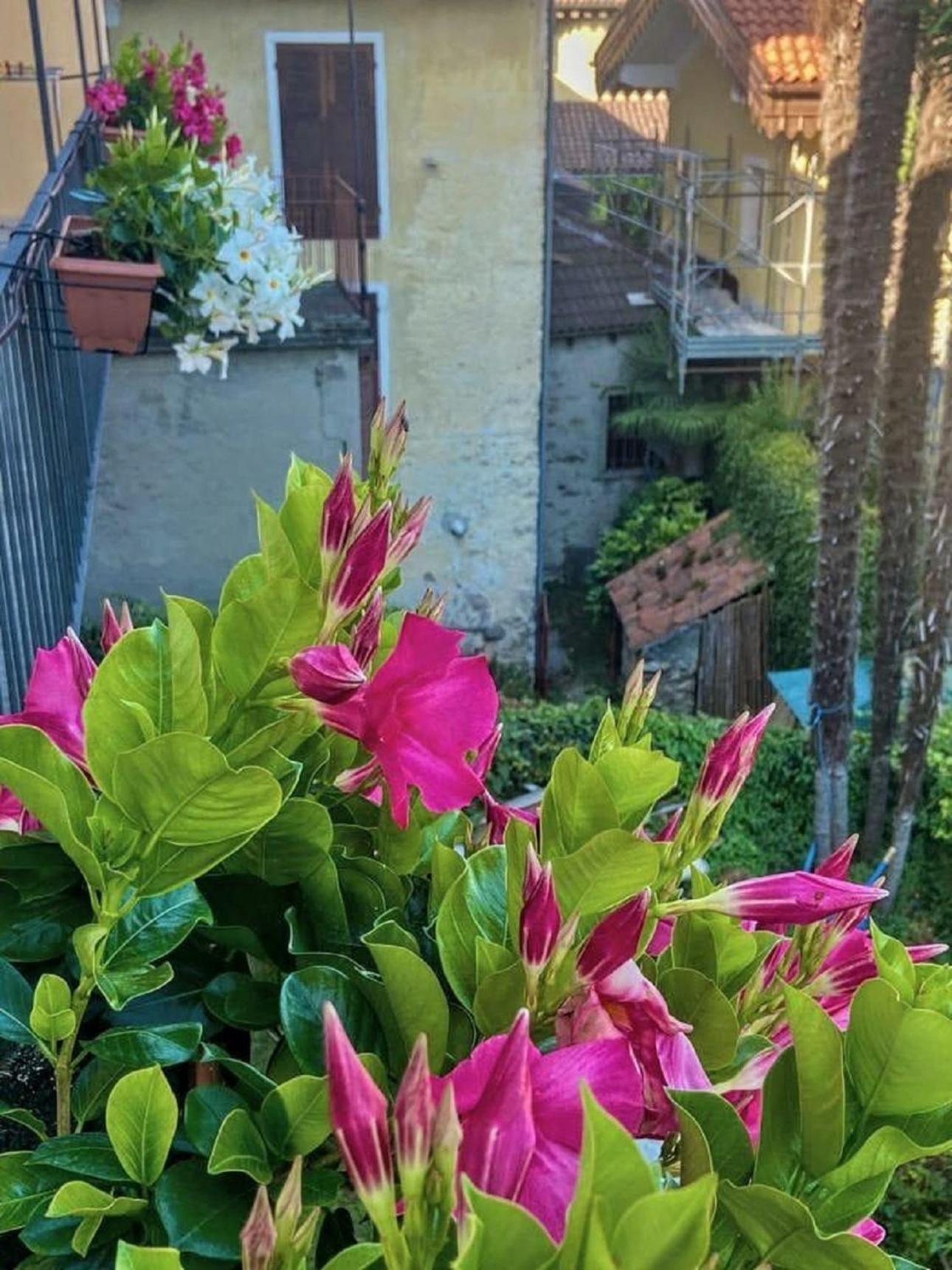 Casa Doris