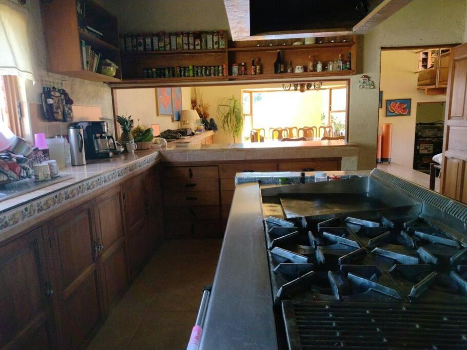 Photo 47