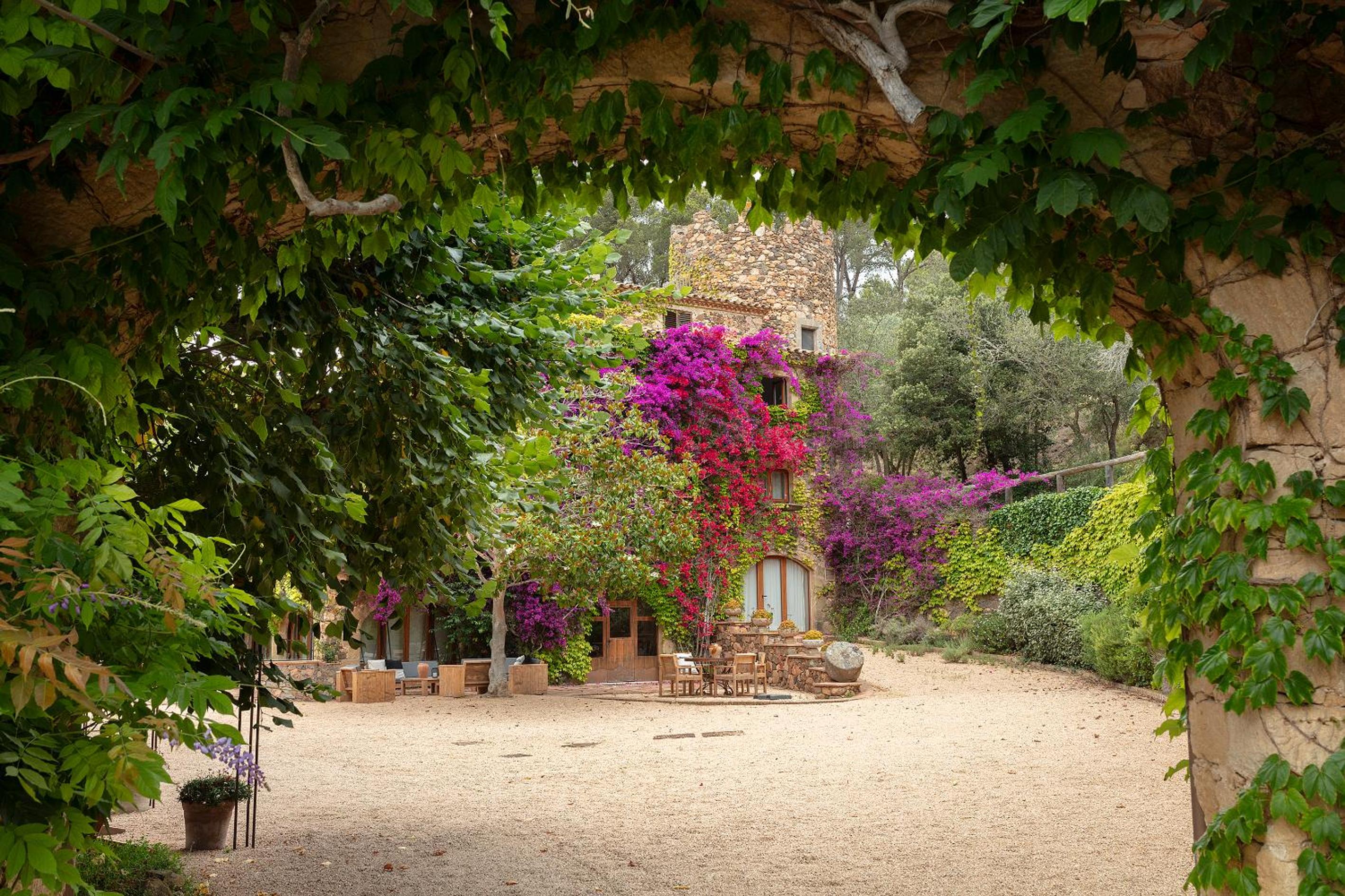 garden