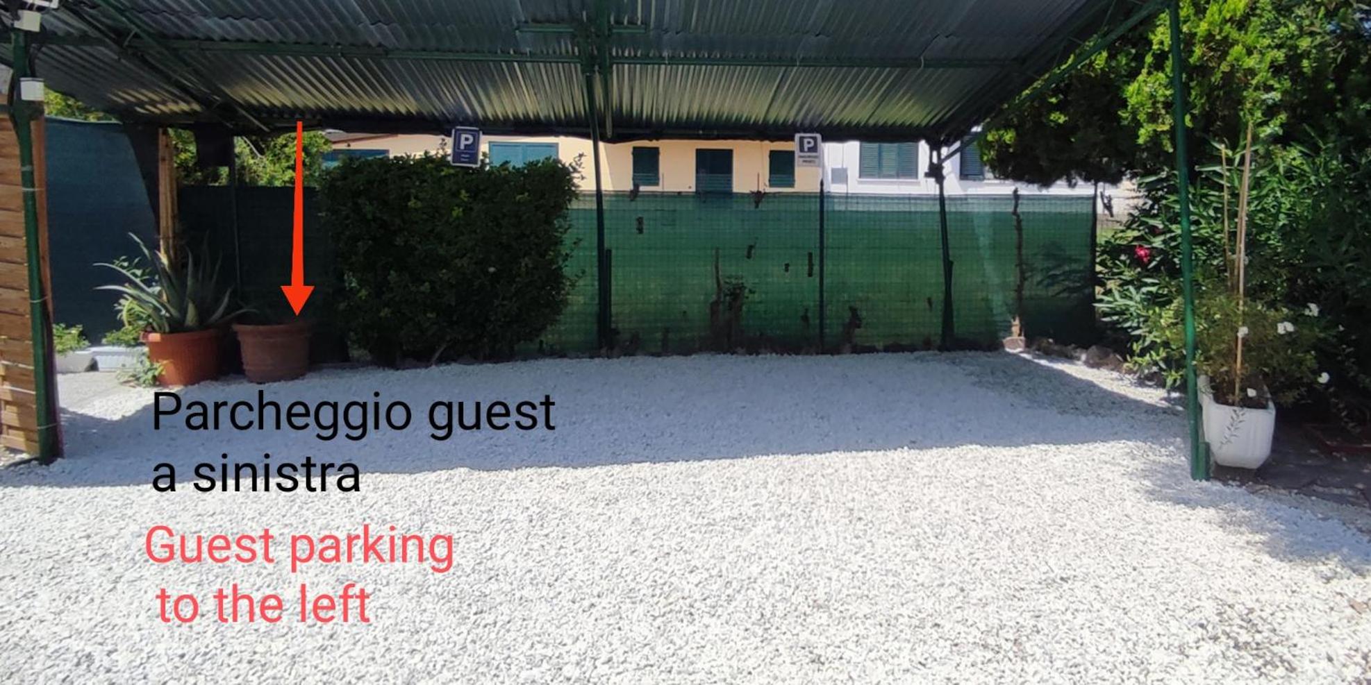 House Viareggio
