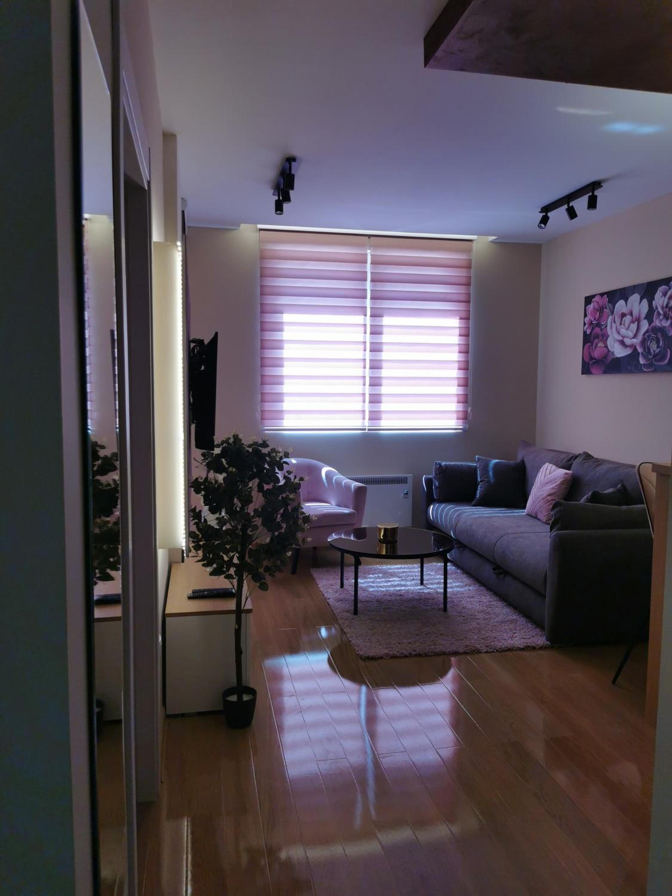 Apartmani Nedić